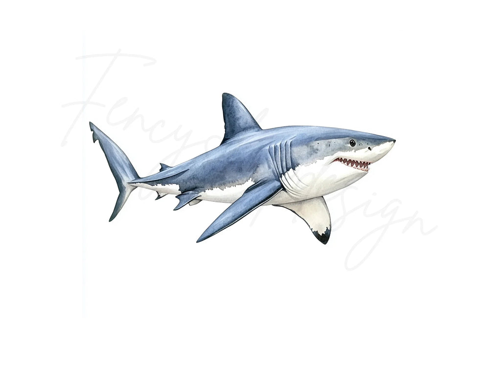 Great White Shark Clipart Bundle