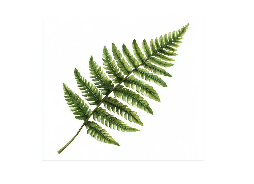 Green Fern Foliage Clipart Bundle