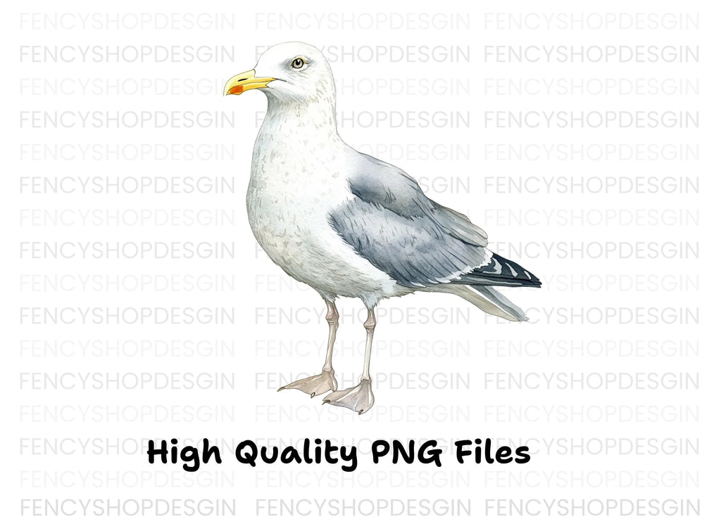 Vibrant Seagull Clipart Bundle