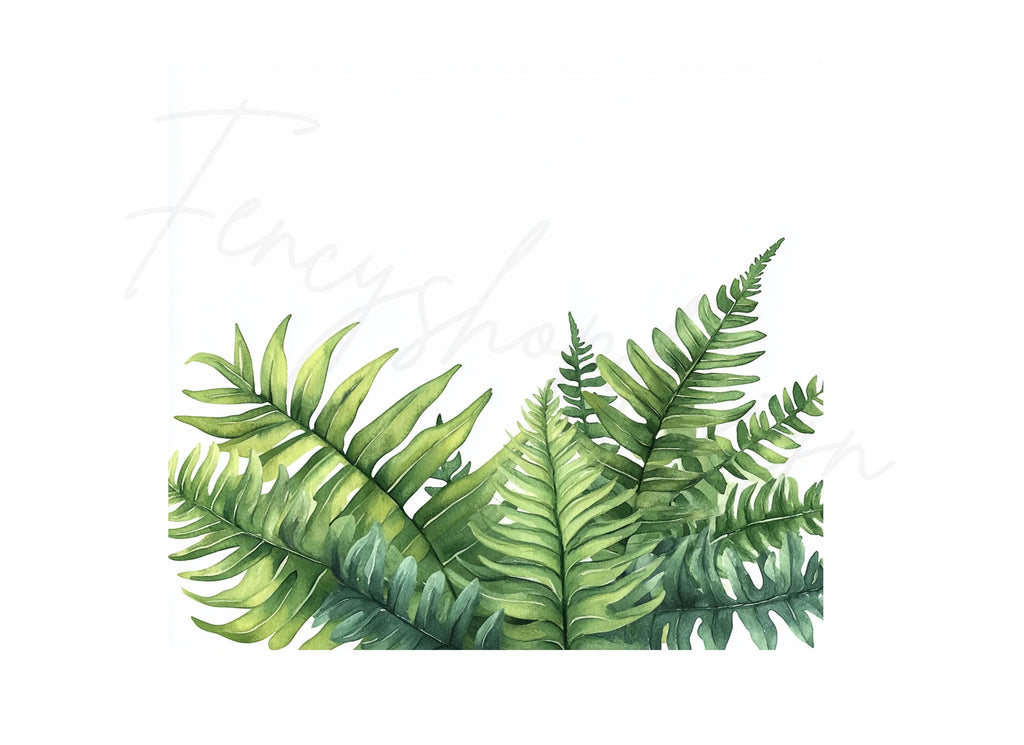 Fern Clipart Bundle