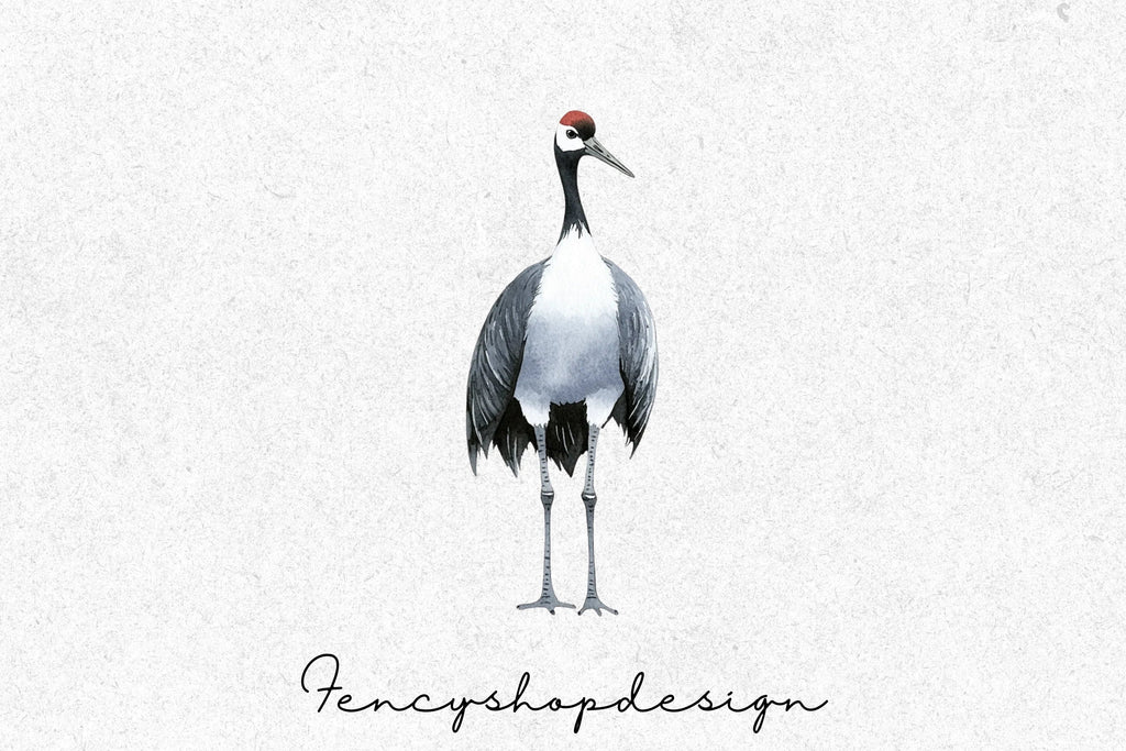 Elegant Crane Bird Clipart Bundle
