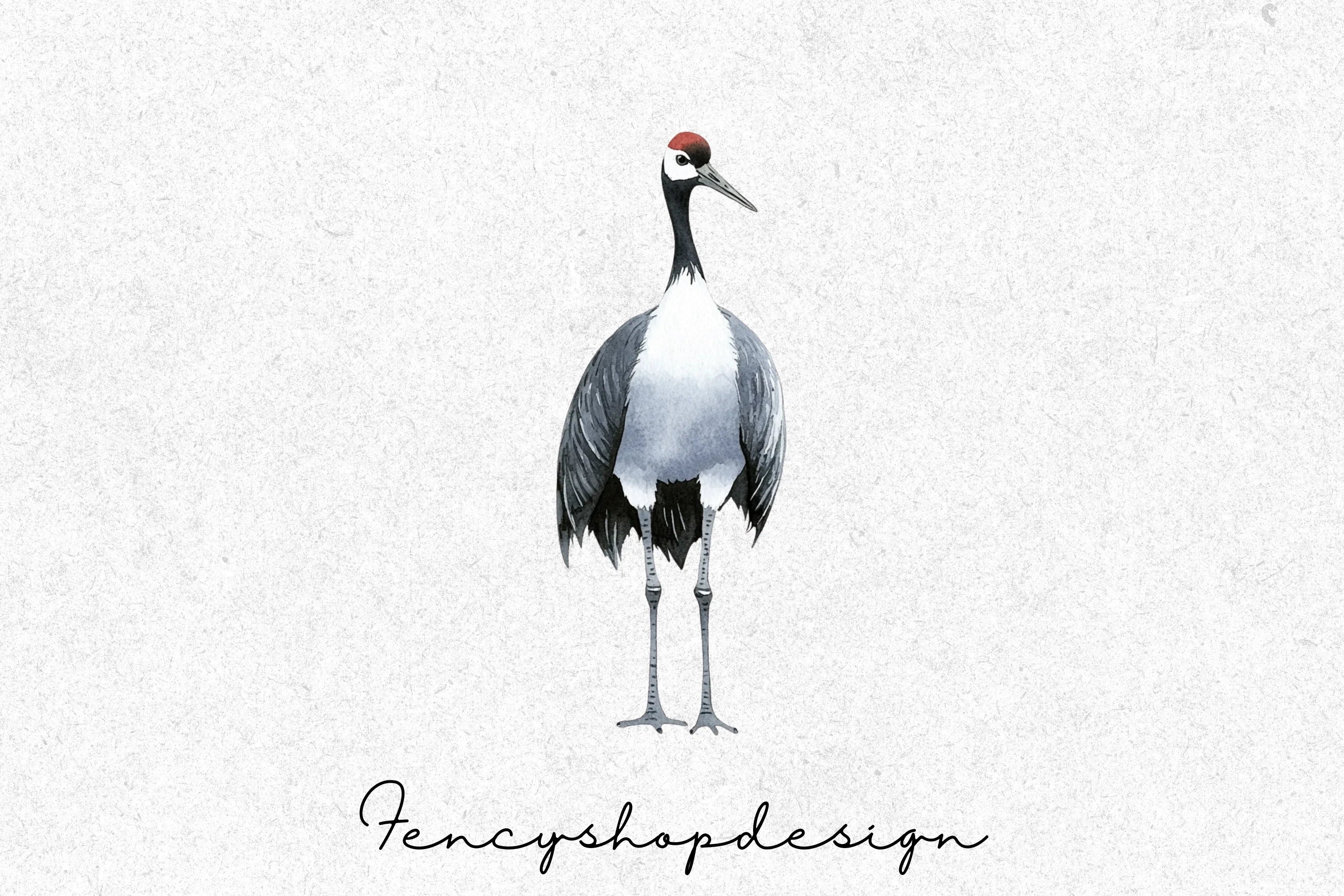 Elegant Crane Bird Clipart Bundle