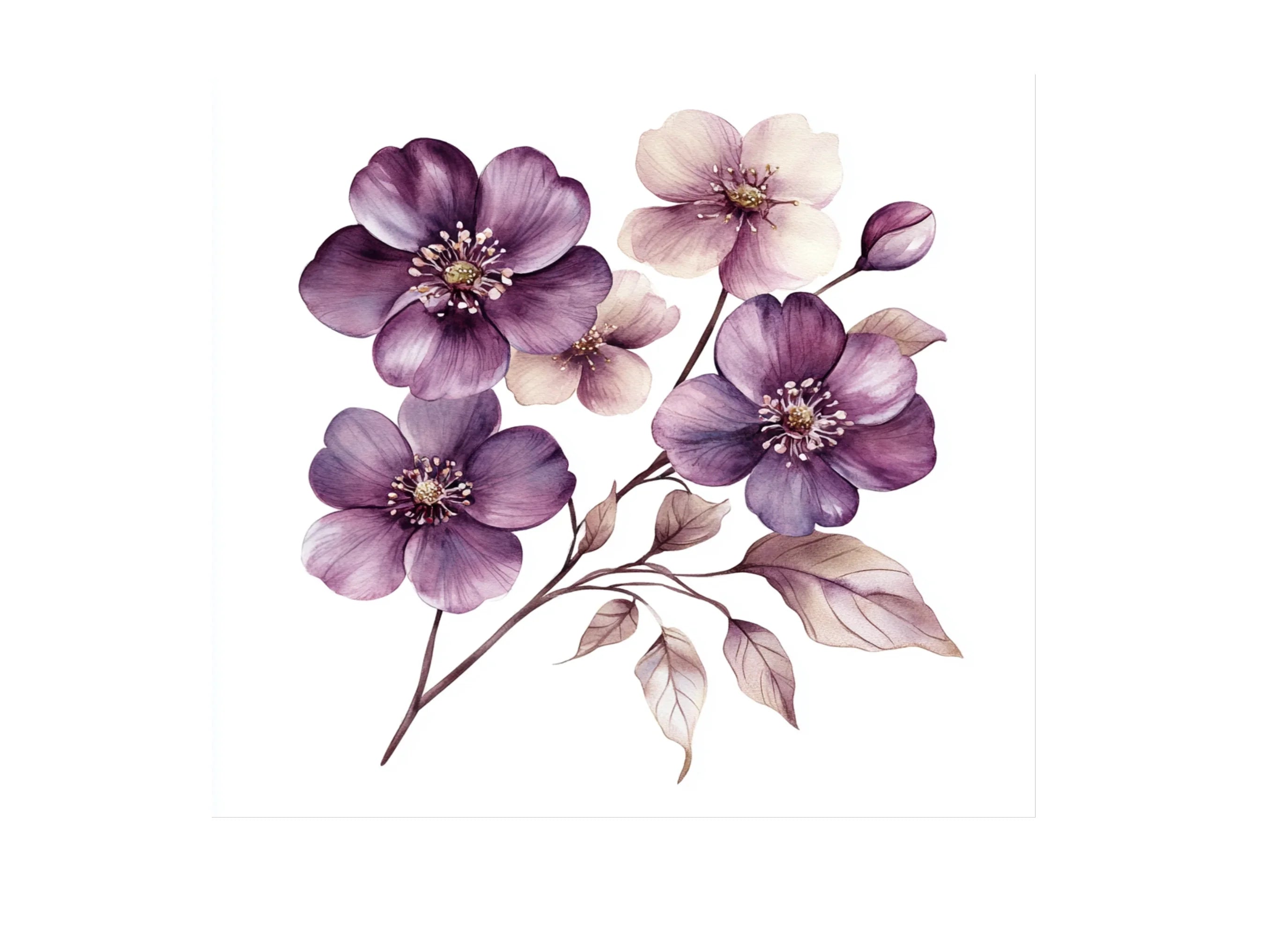 Elegant Floral Clipart Bundle