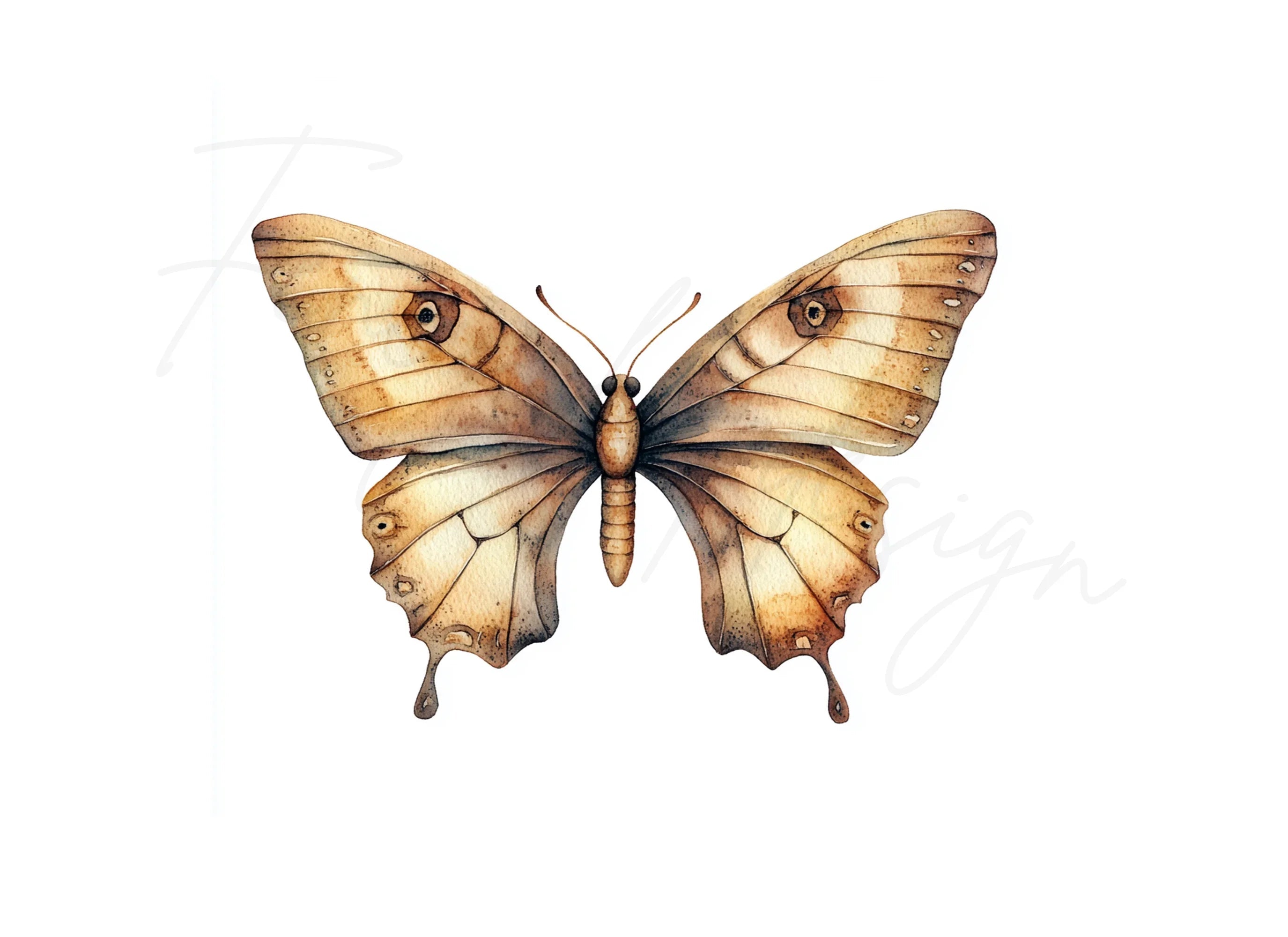Vintage Brown Butterfly Clipart Bundle