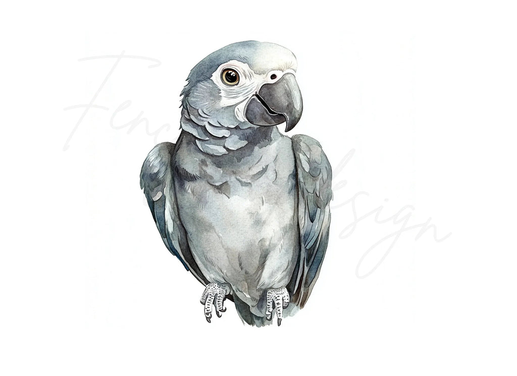 Cute African Grey Parrot Clipart Bundle