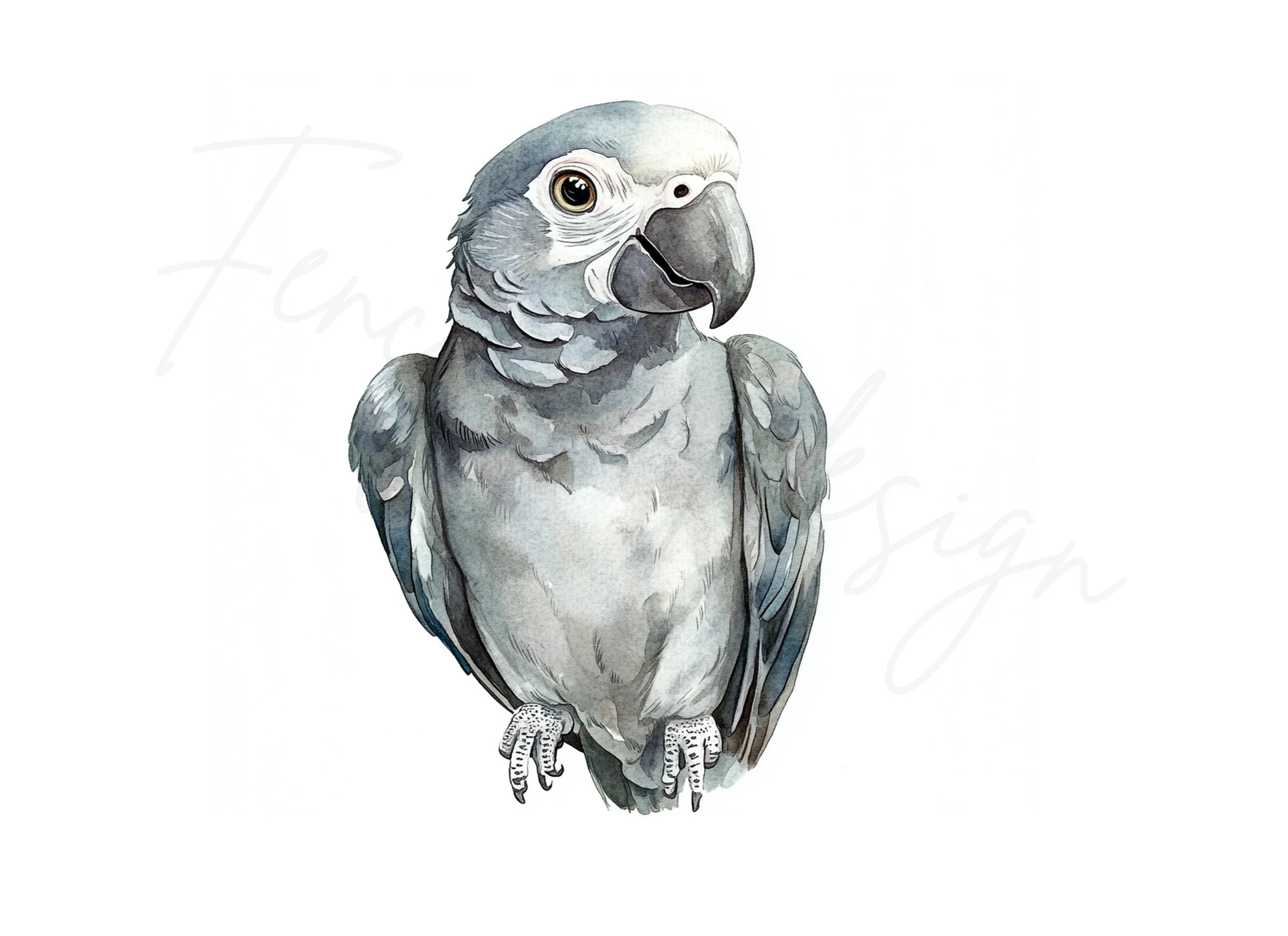 Cute African Grey Parrot Clipart Bundle
