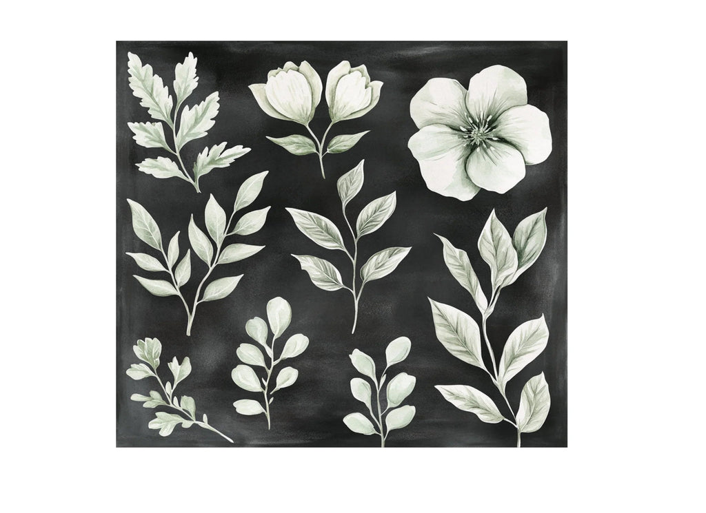 Elegant White Floral Clipart Bundle
