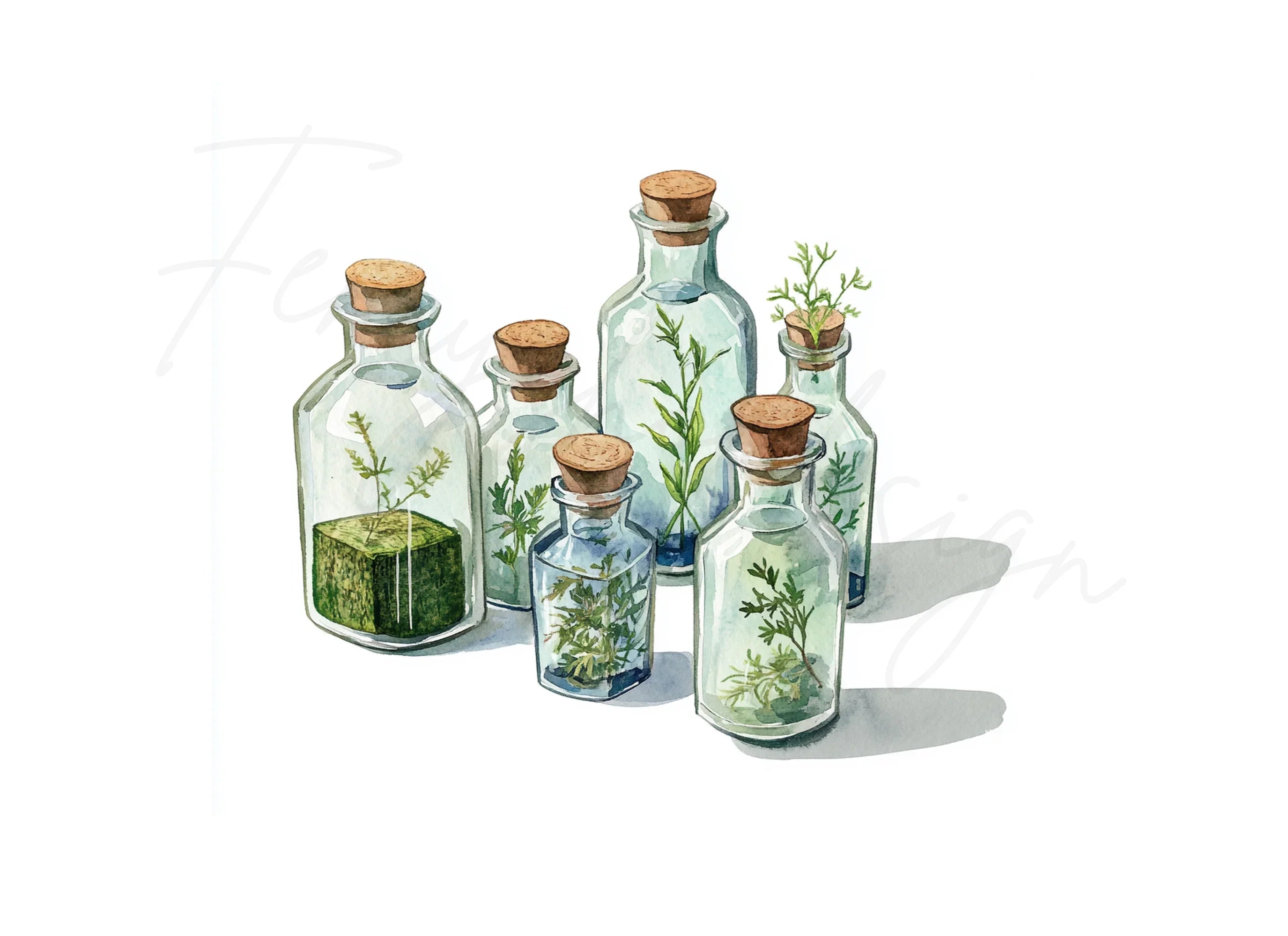 Herbal Glass Bottles Clipart Bundle
