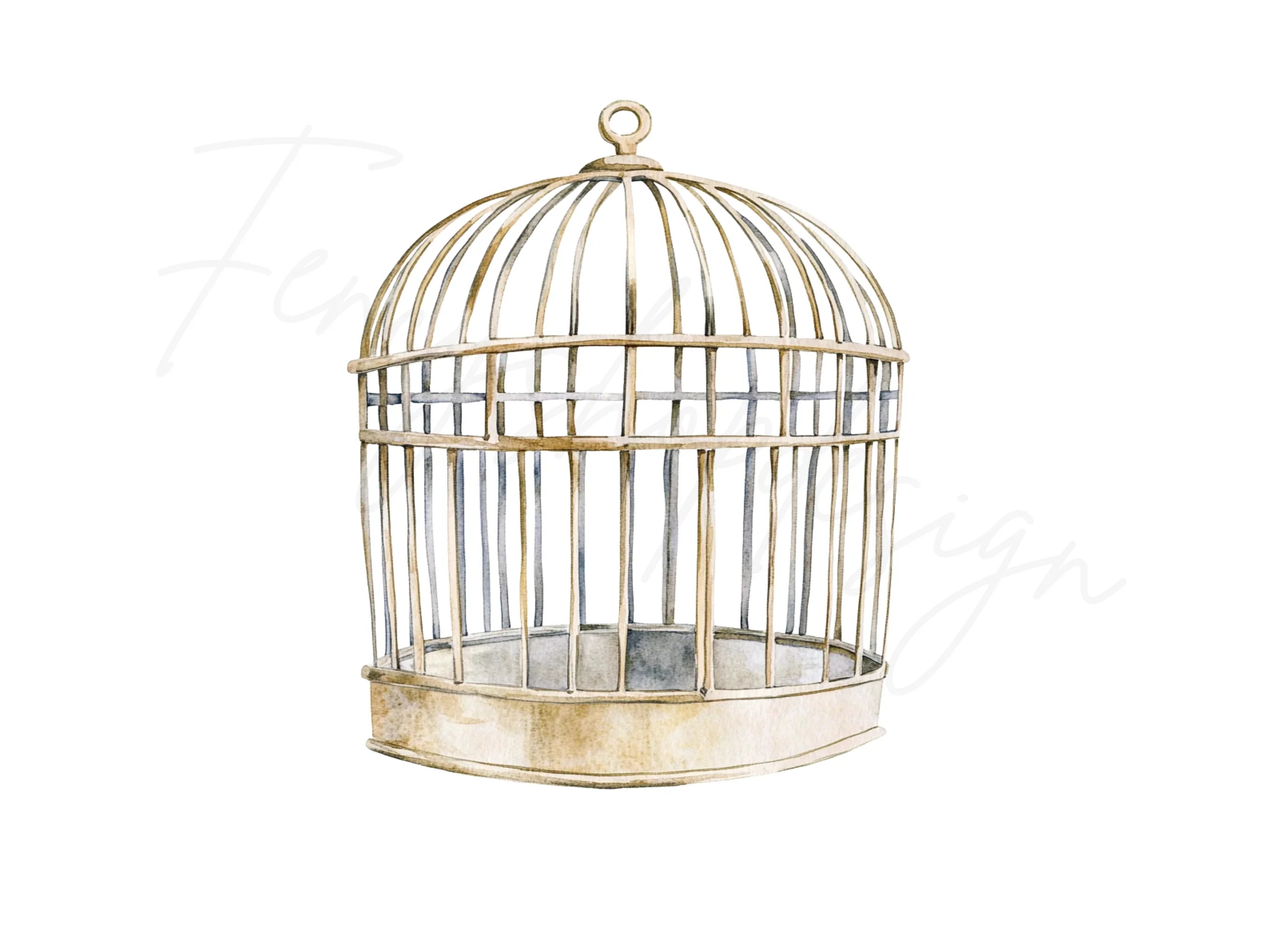 Vintage Bird Cages Clipart Bundle