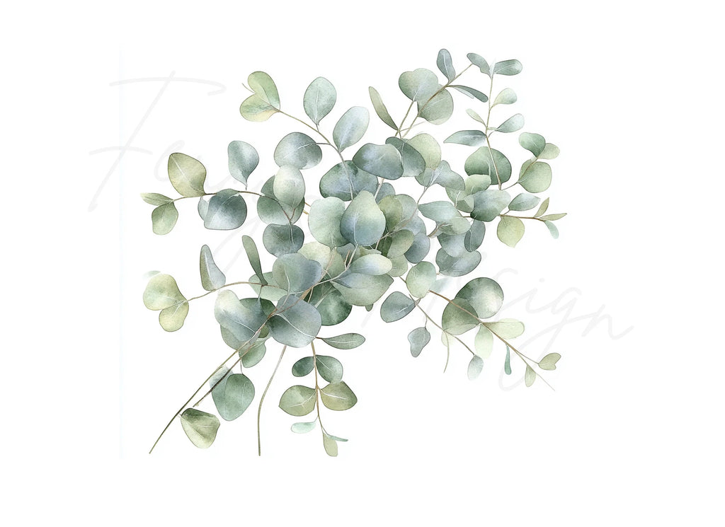 Delicate Eucalyptus Leaves Clipart Bundle