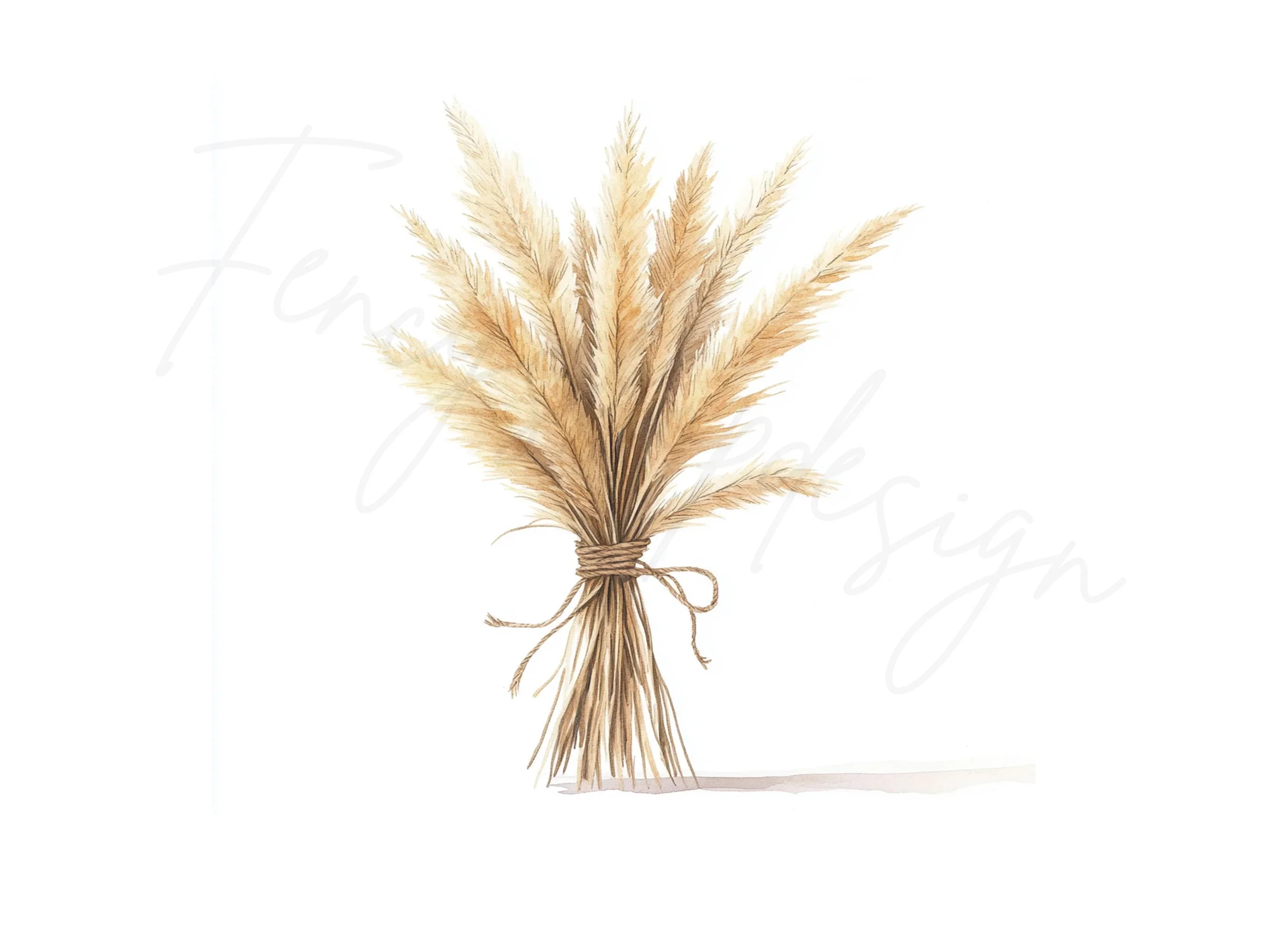 Pampas Grass Bouquets Clipart Bundle