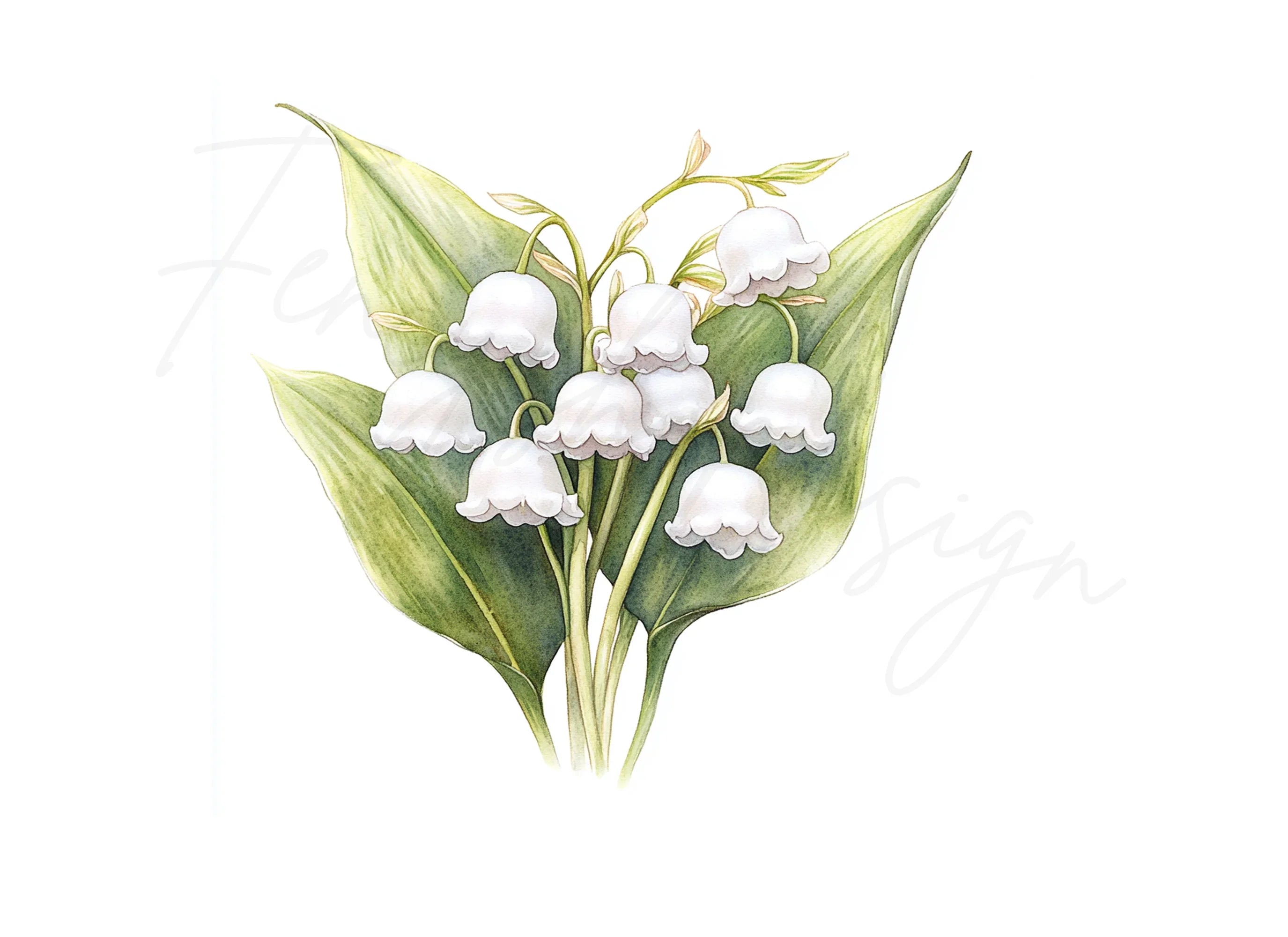 Lily of the Valley Clipart Bundle