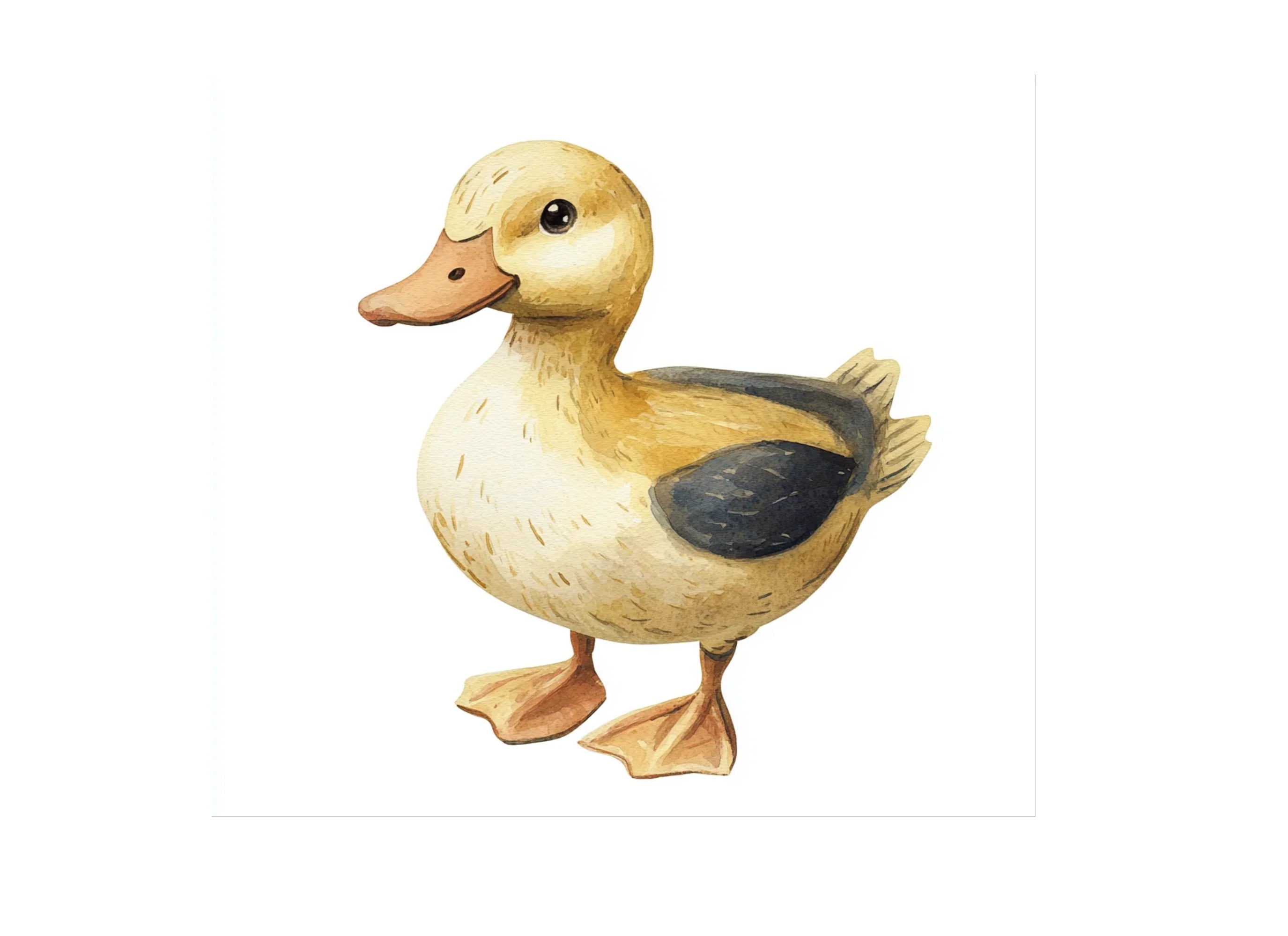 Cute Baby Ducklings Clipart Bundle