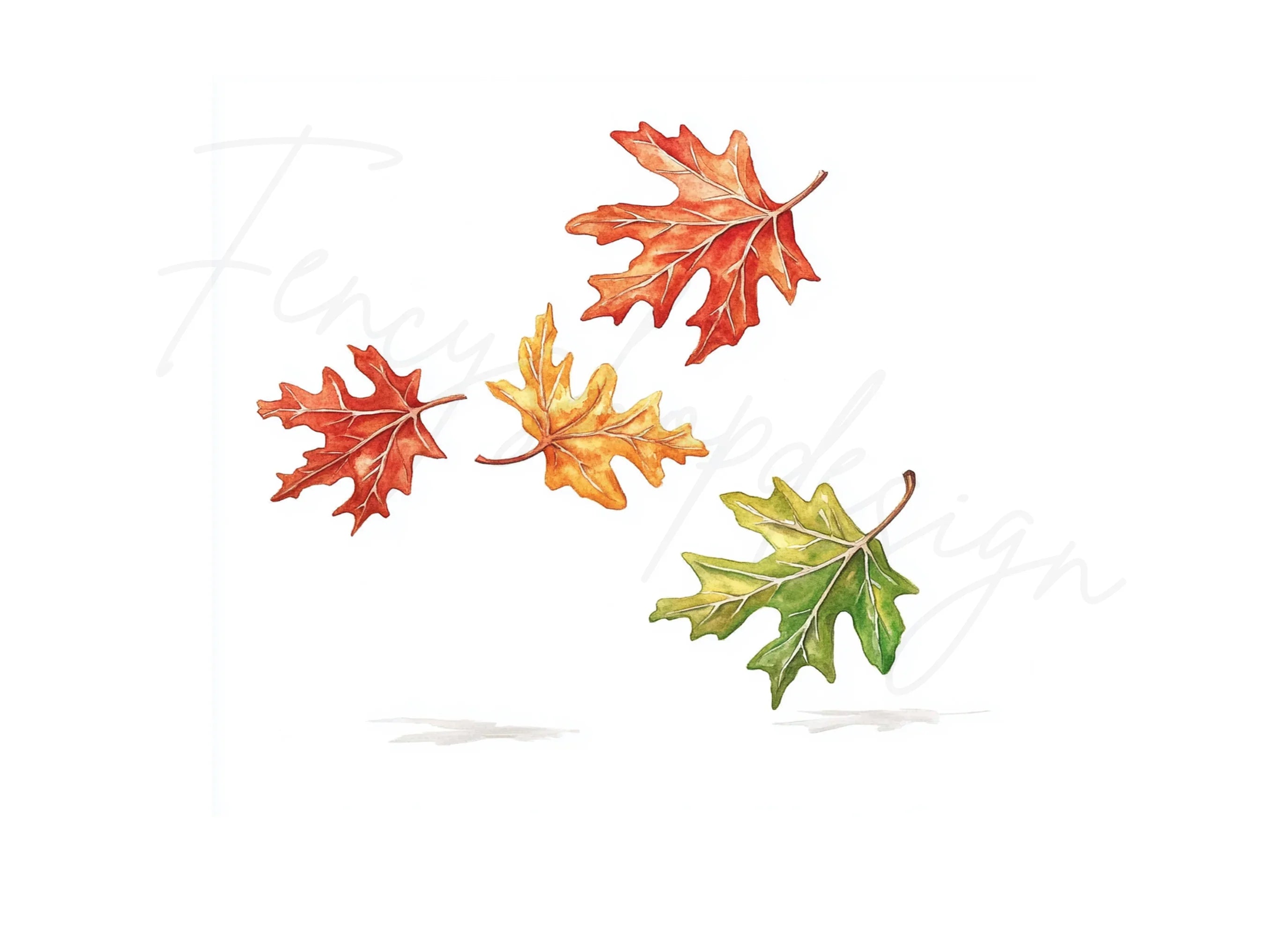 Autumn Oak Leaves Clipart Bundle