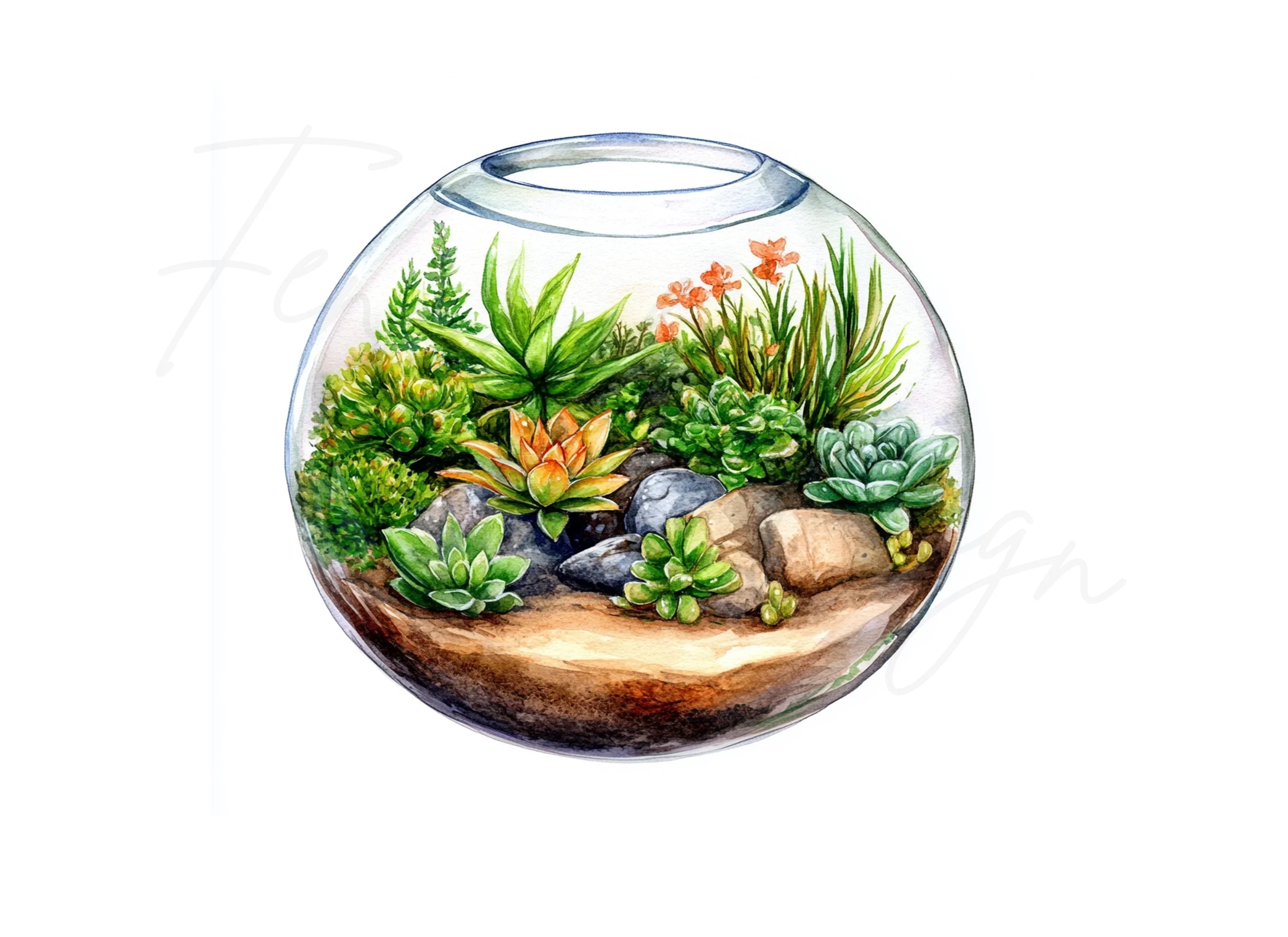 Terrarium Clipart Bundle