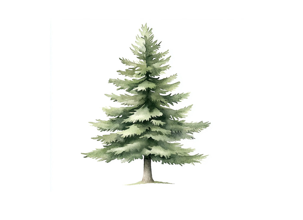 Realistic Pine Tree Clipart Bundle