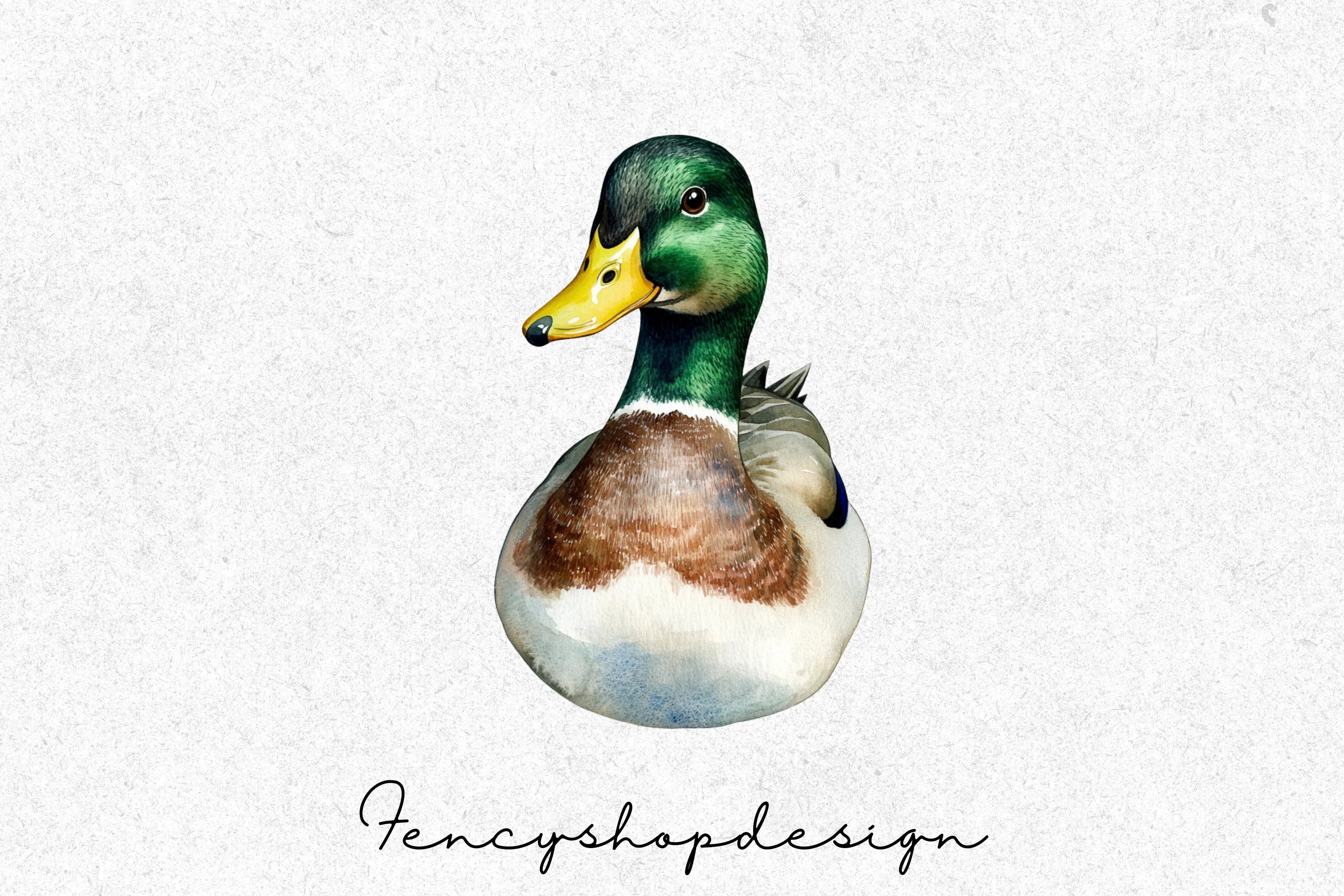 Mallard Ducks Wildlife Animal Clipart Bundle
