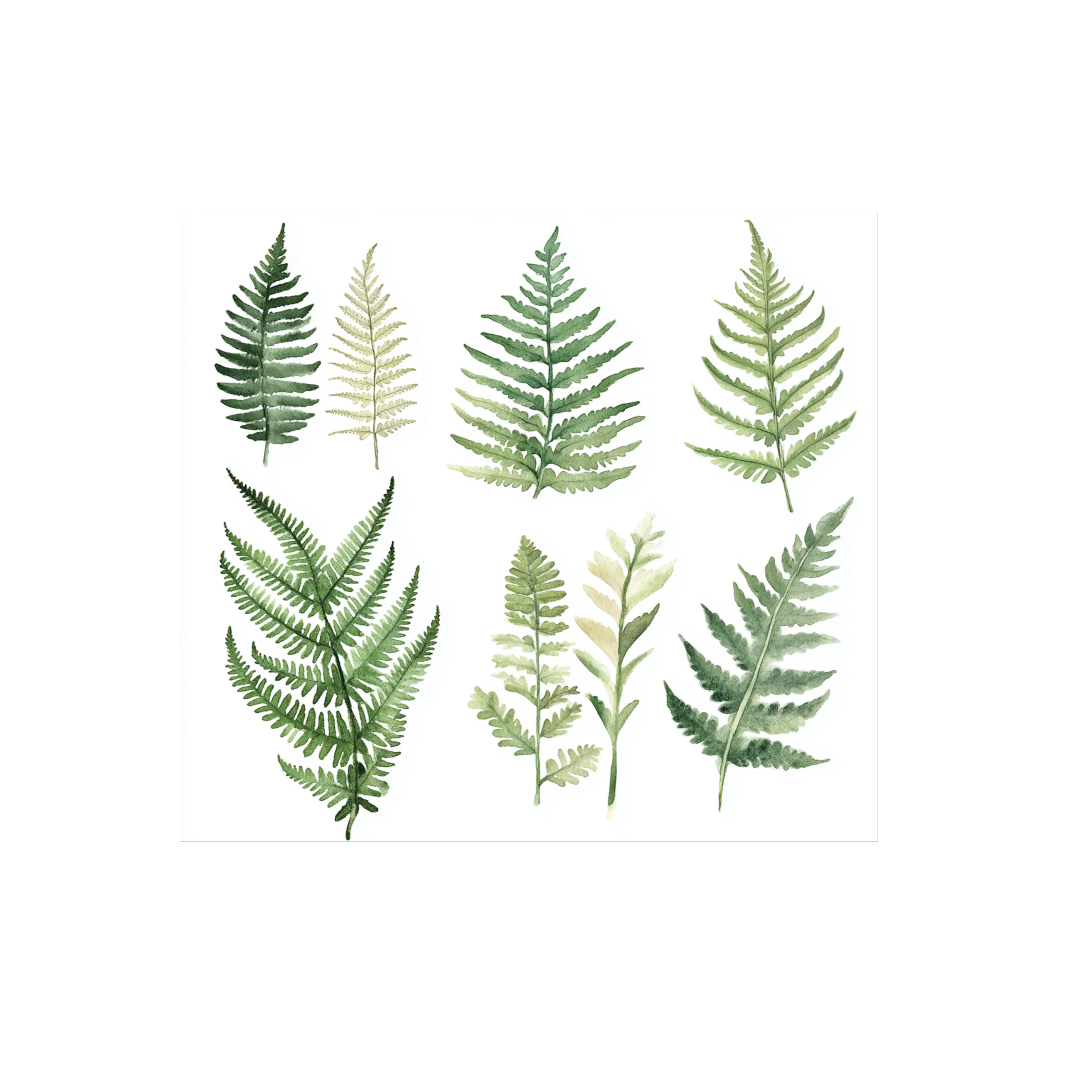 Fern Leaves Clipart Bundle