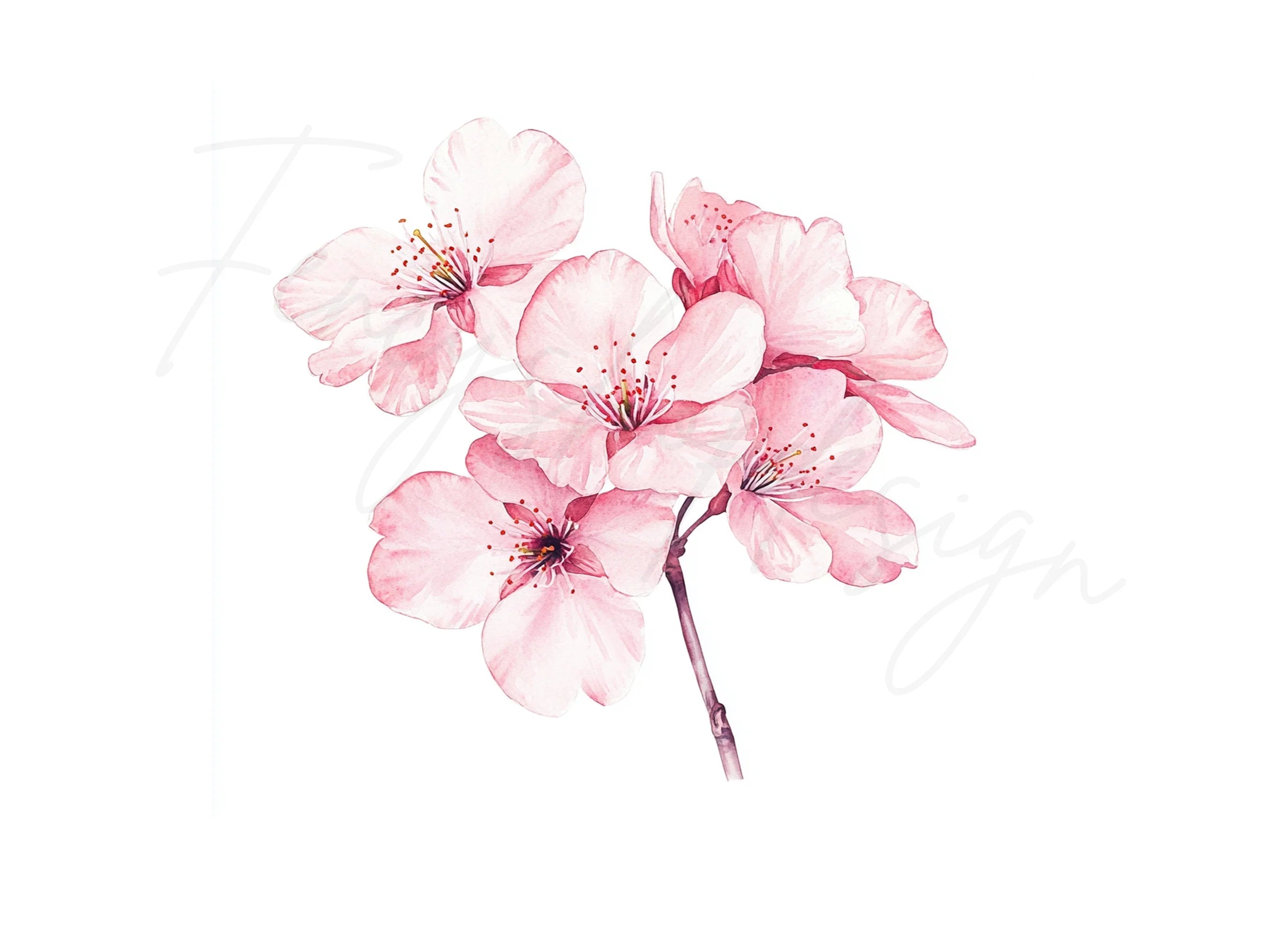 Cherry Blossom Clipart Bundle