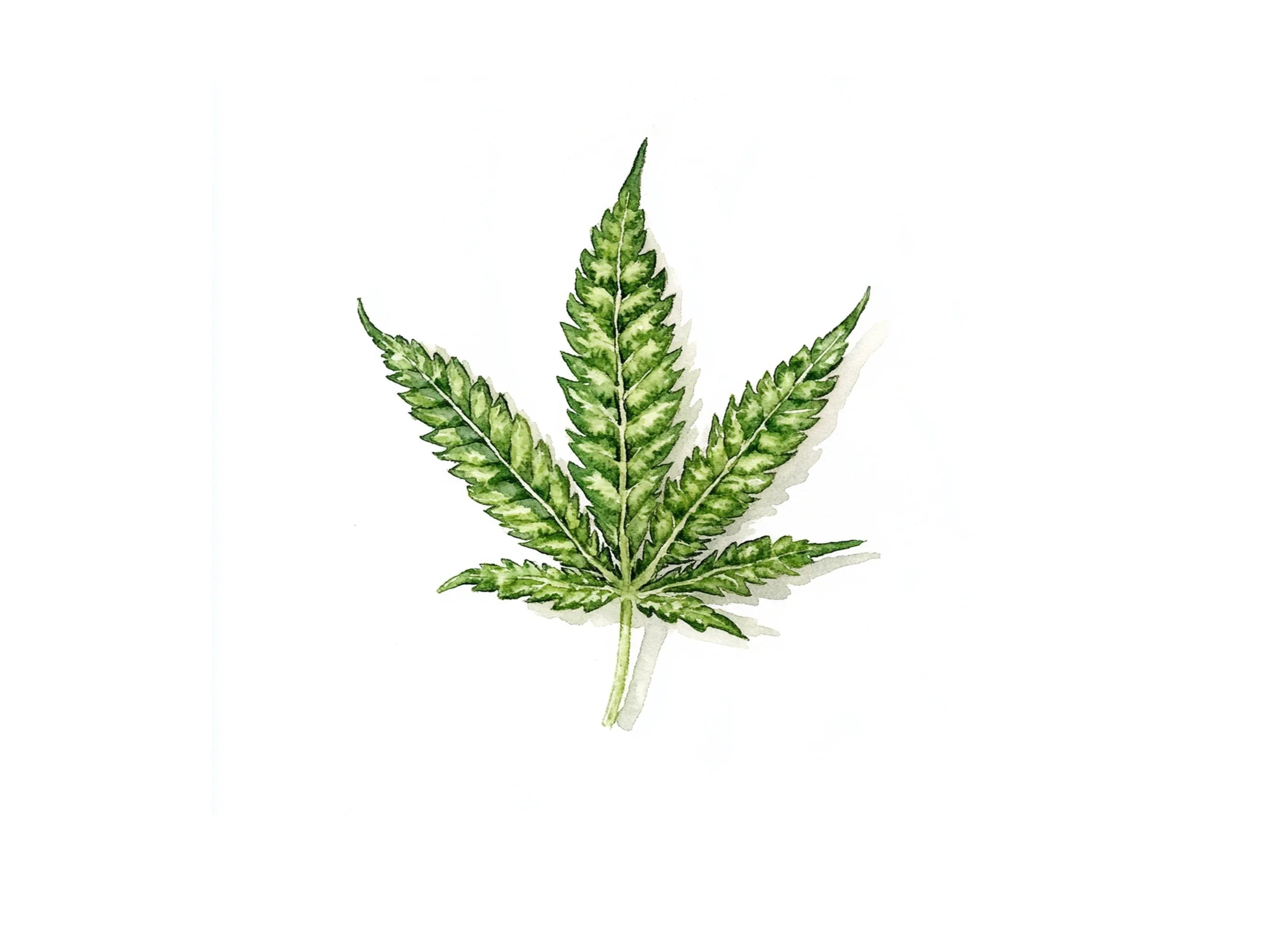 Green Marijuana Leaf Clipart Bundle