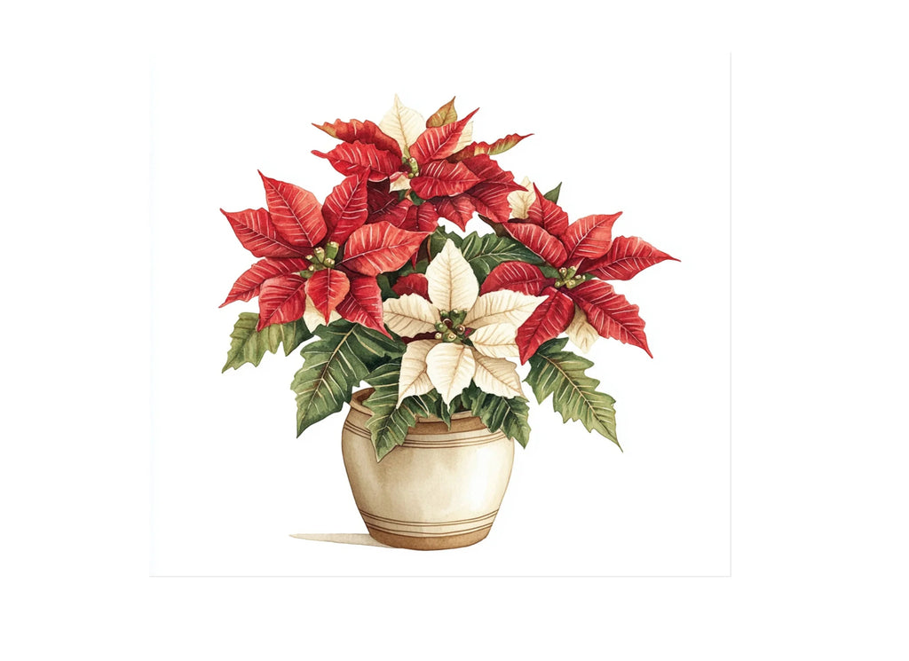 Potted Poinsettia Clipart Bundle