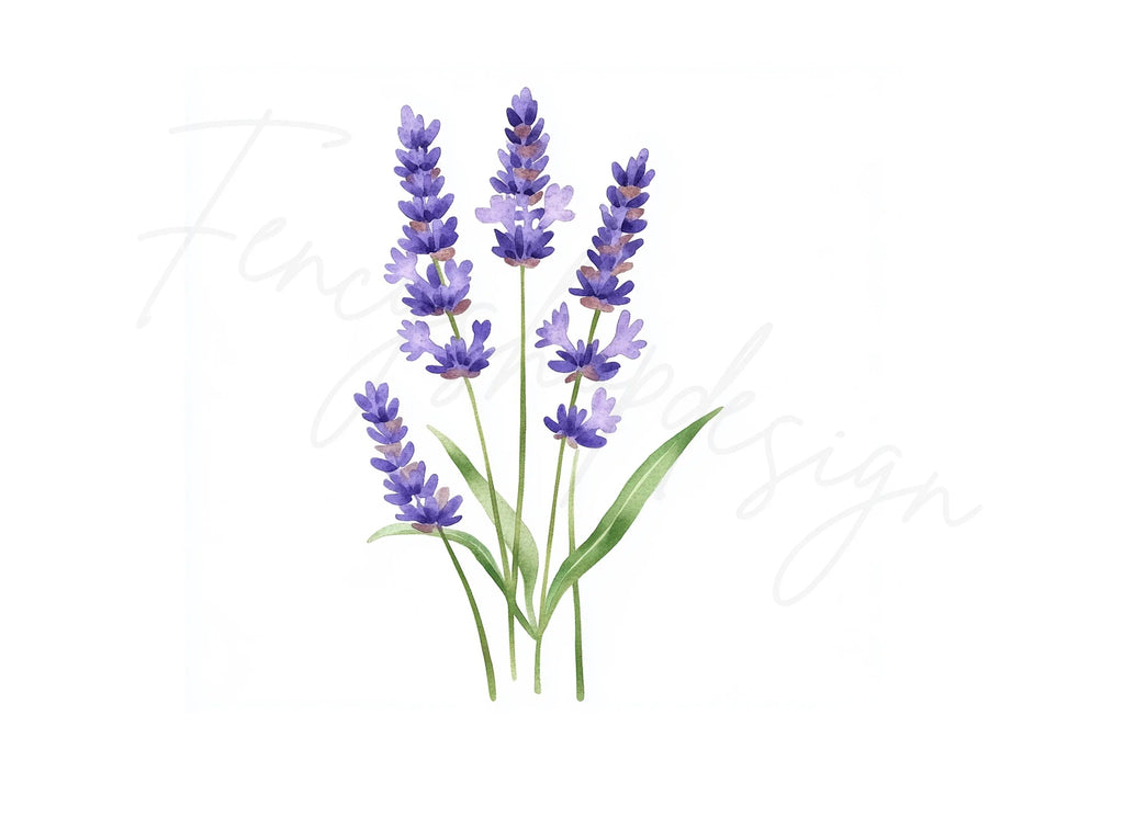 Lavender Flower Clipart Bundle