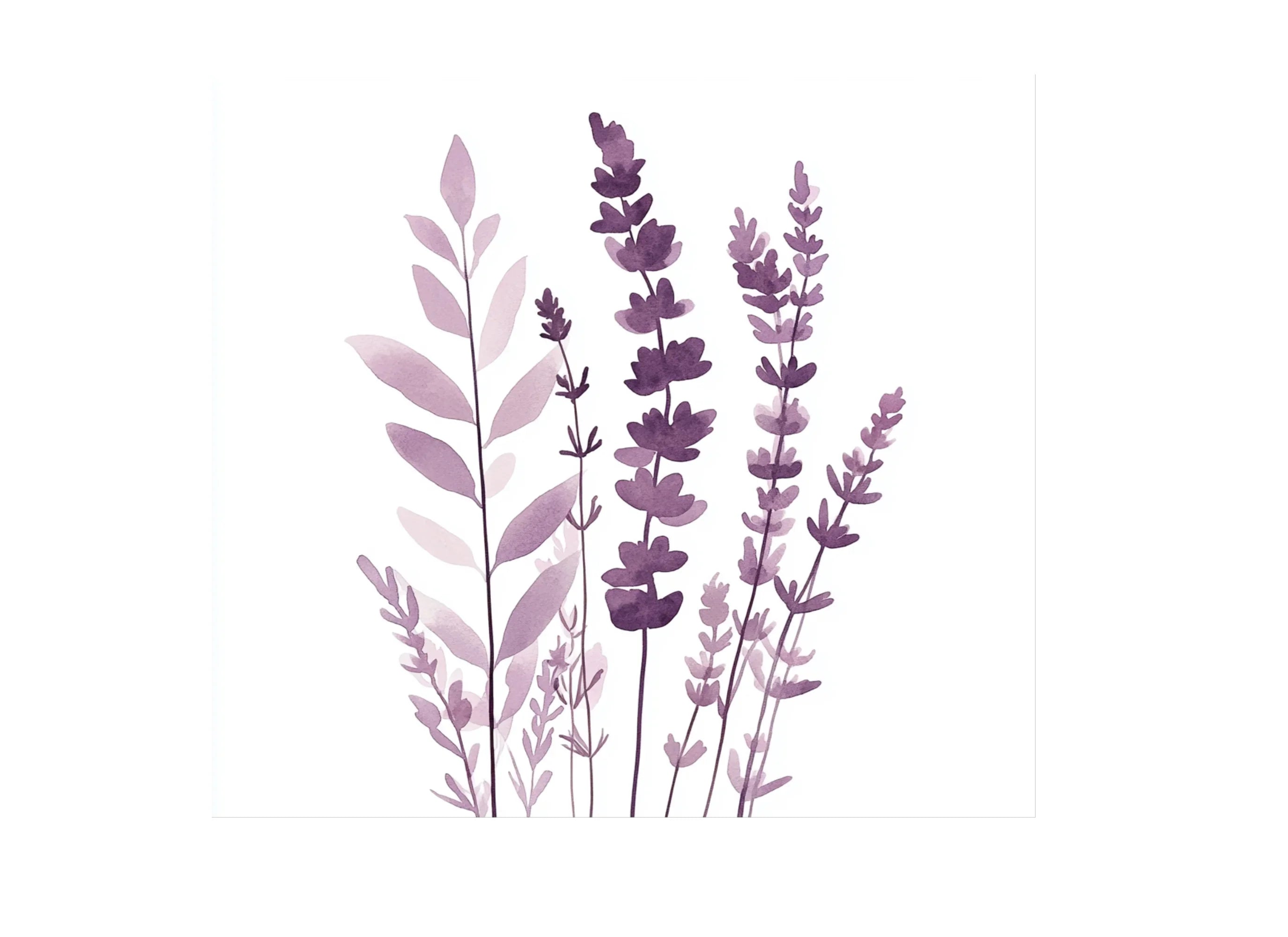 Lavender Clipart Bundle