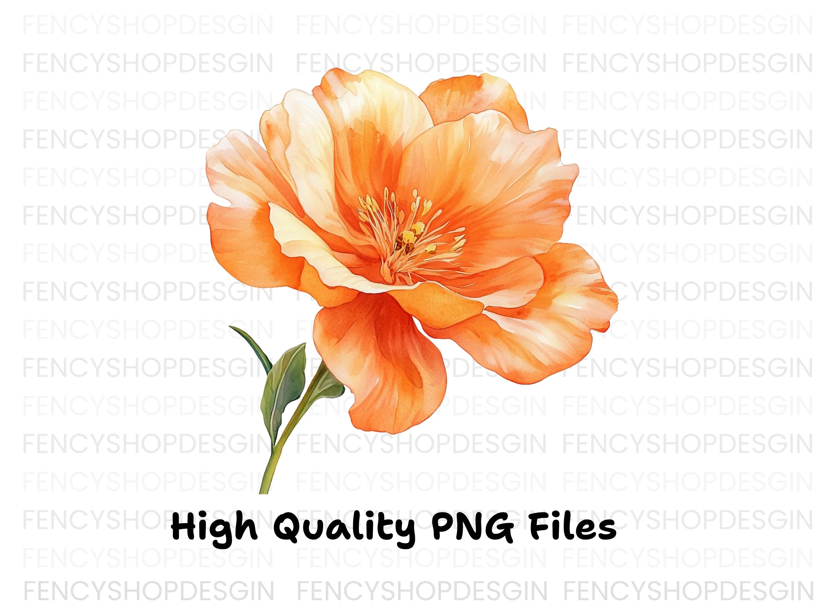 Vibrant Orange Flower Clipart Bundle