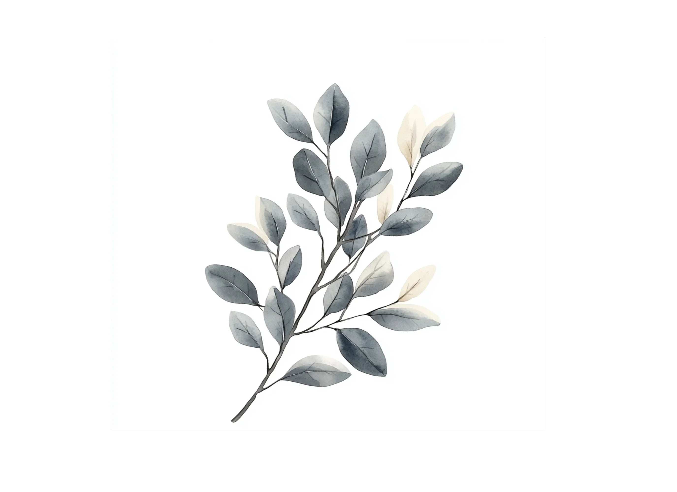 Eucalyptus Branches Clipart Bundle