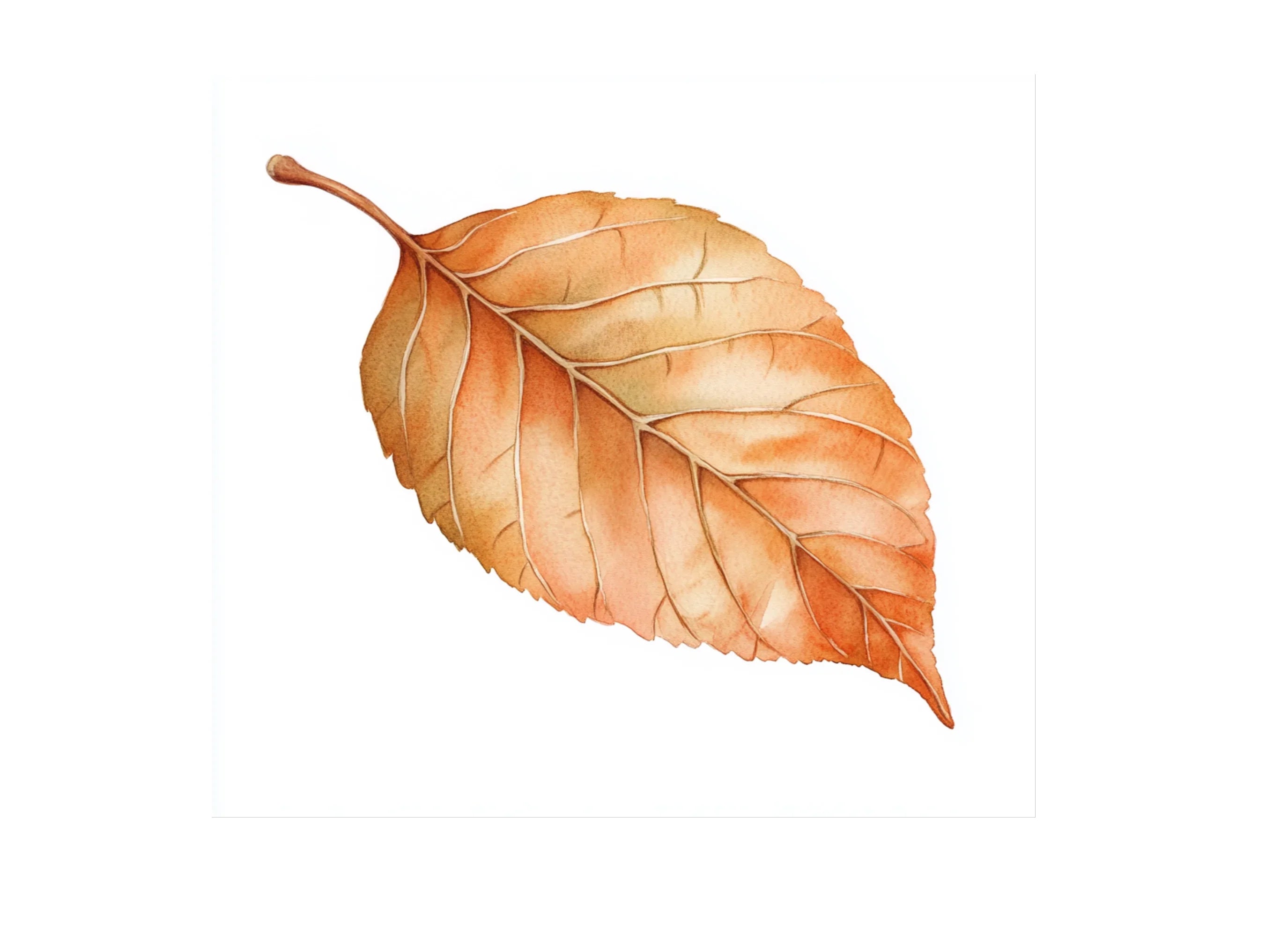 Autumn Leaves Clipart Bundle
