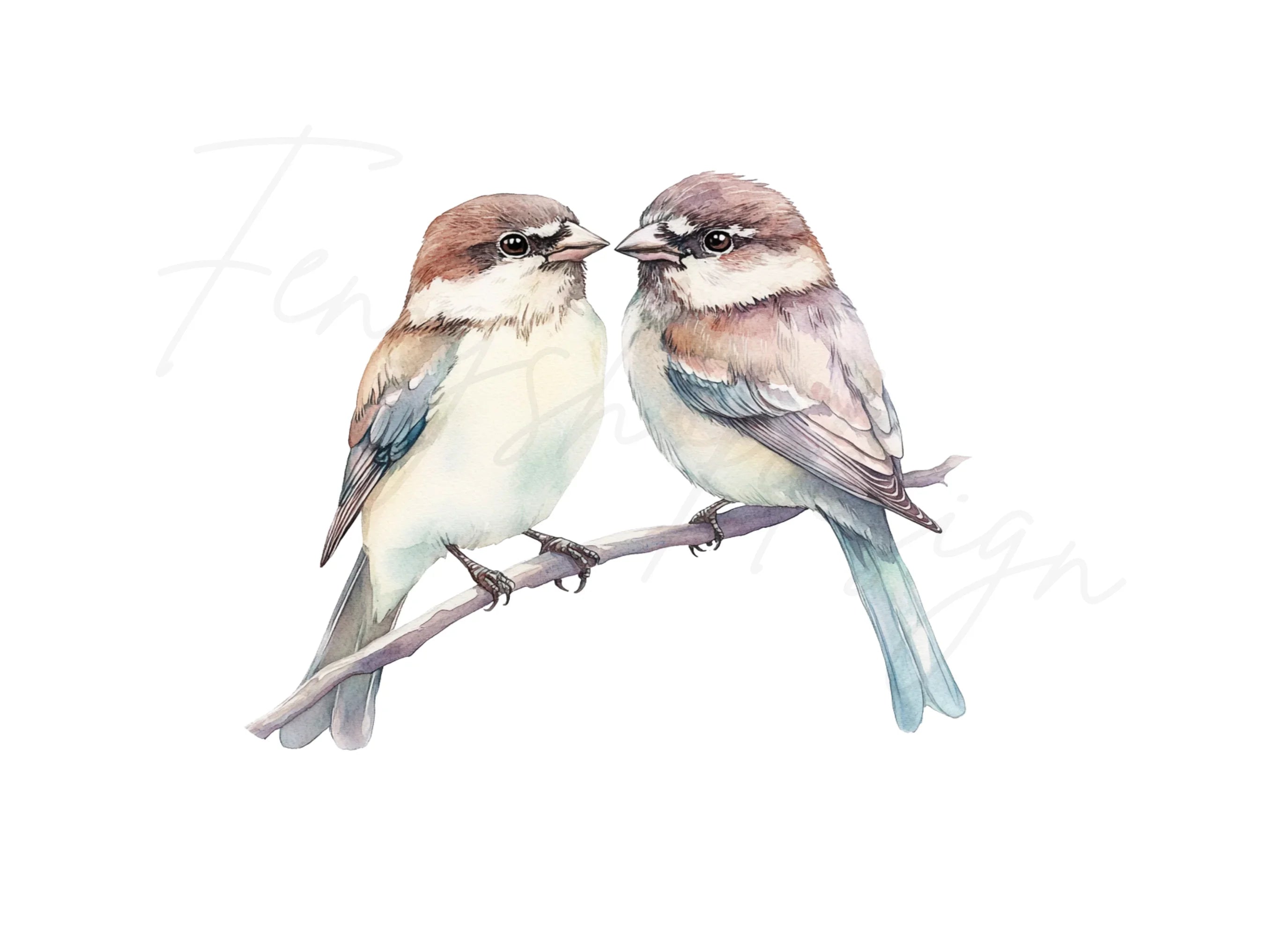 Birds on Branch Clipart Bundle