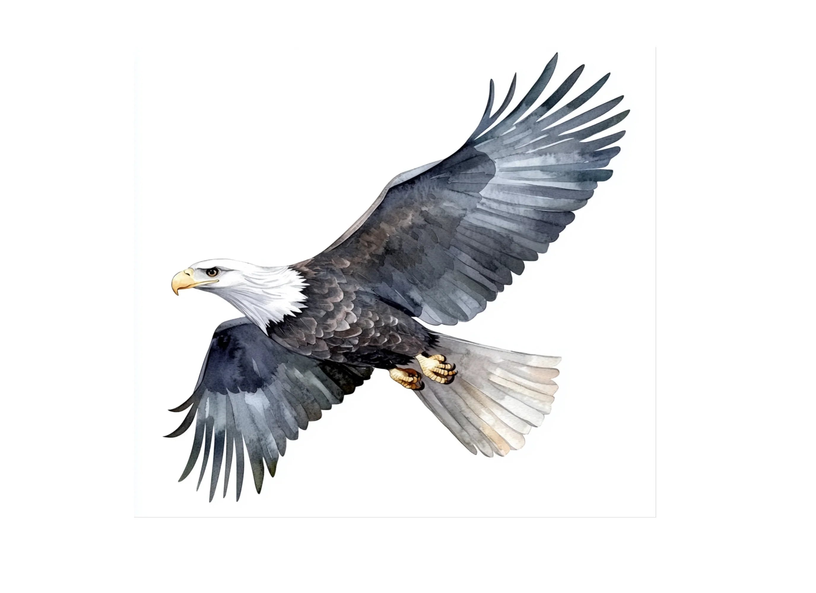 Majestic Bald Eagle Clipart Bundle