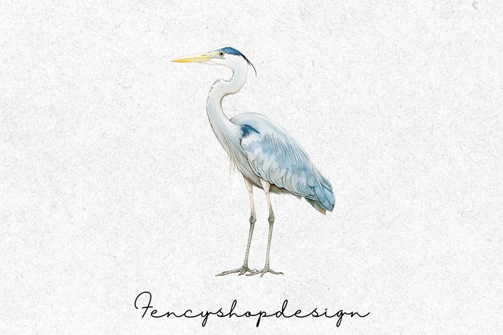 Heron Bird Clipart Bundle