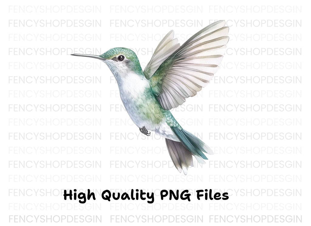 Hummingbird Clipart Bundle
