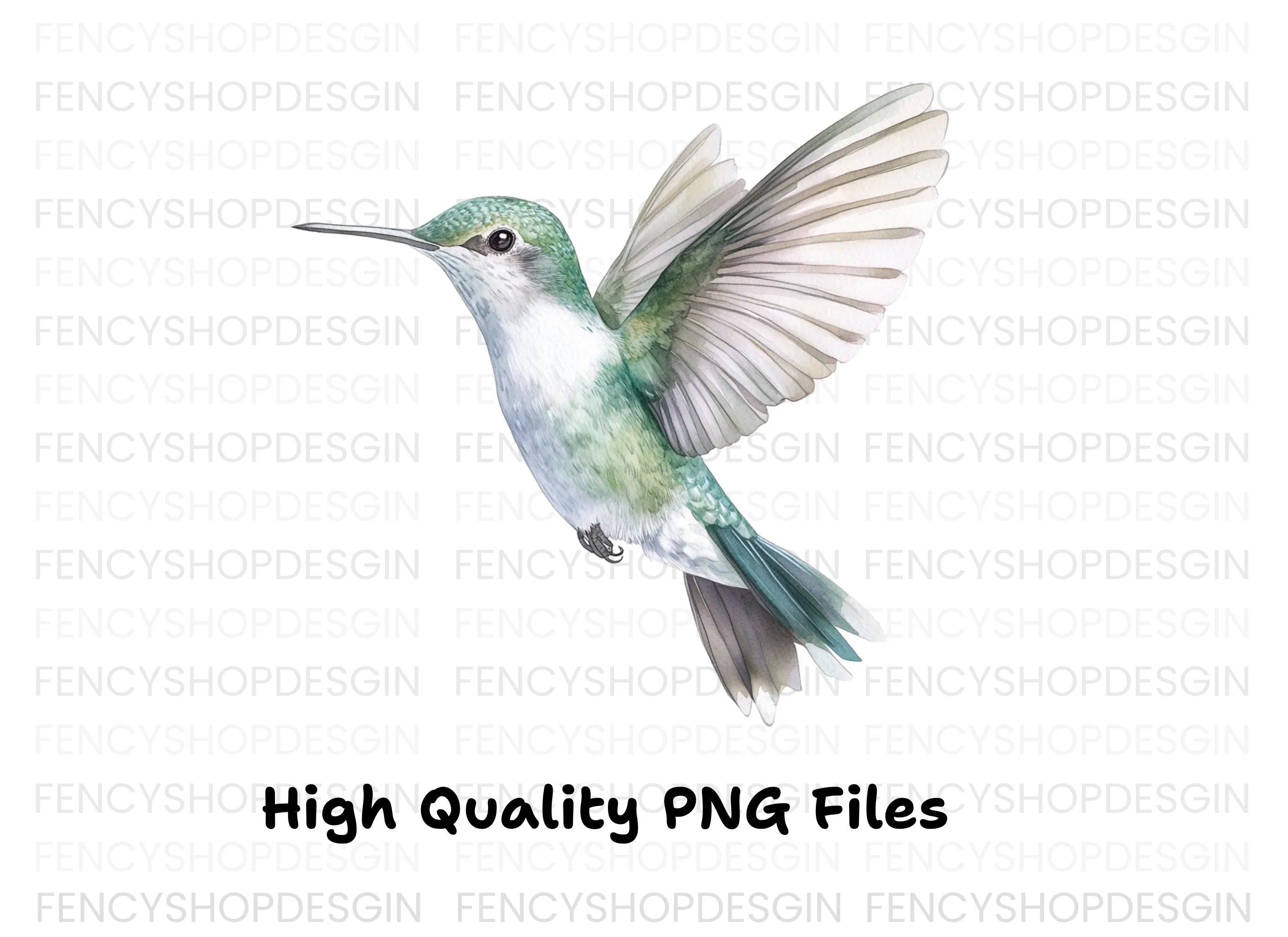 Hummingbird Clipart Bundle
