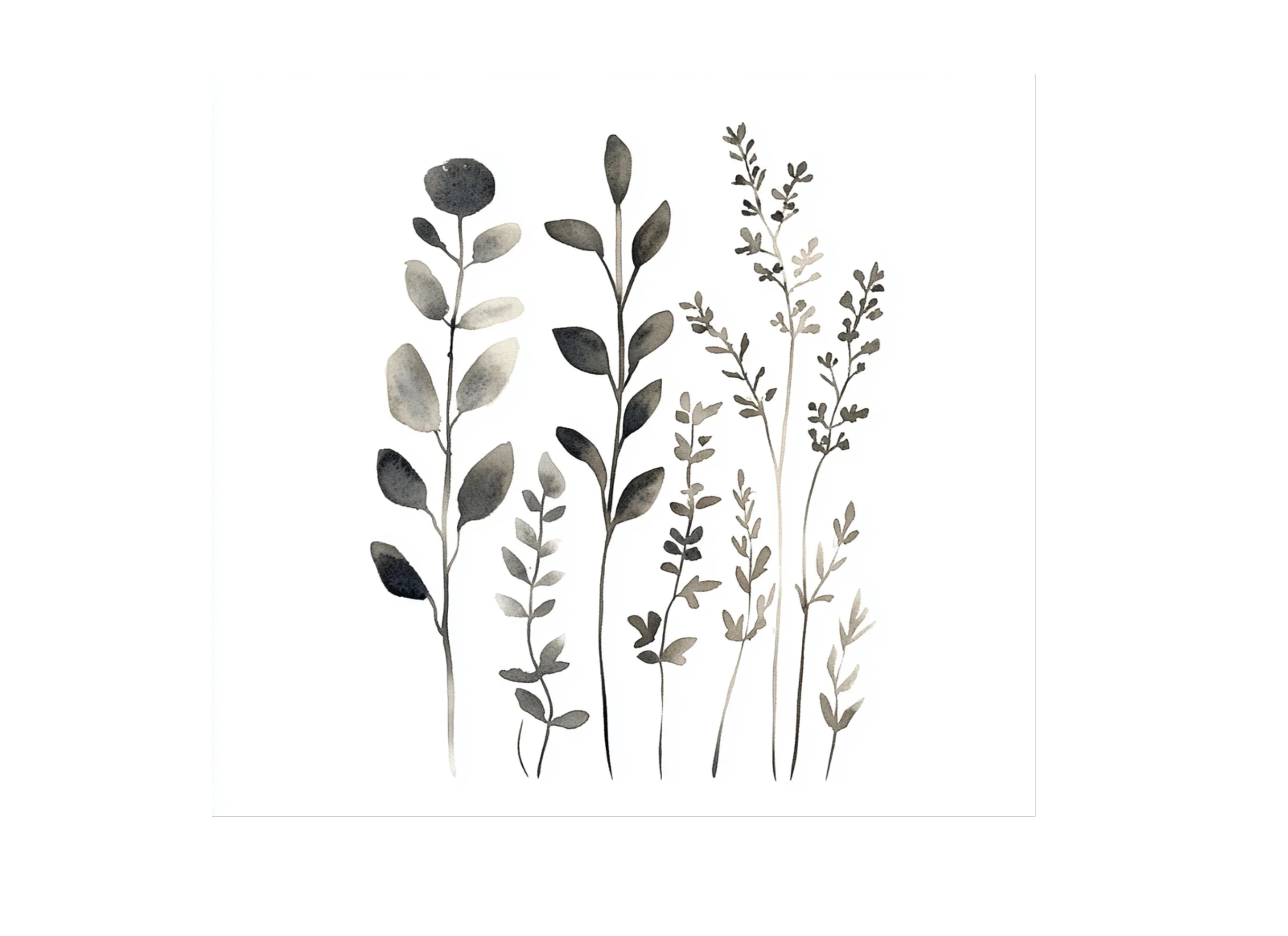 Botanical Clipart Bundle