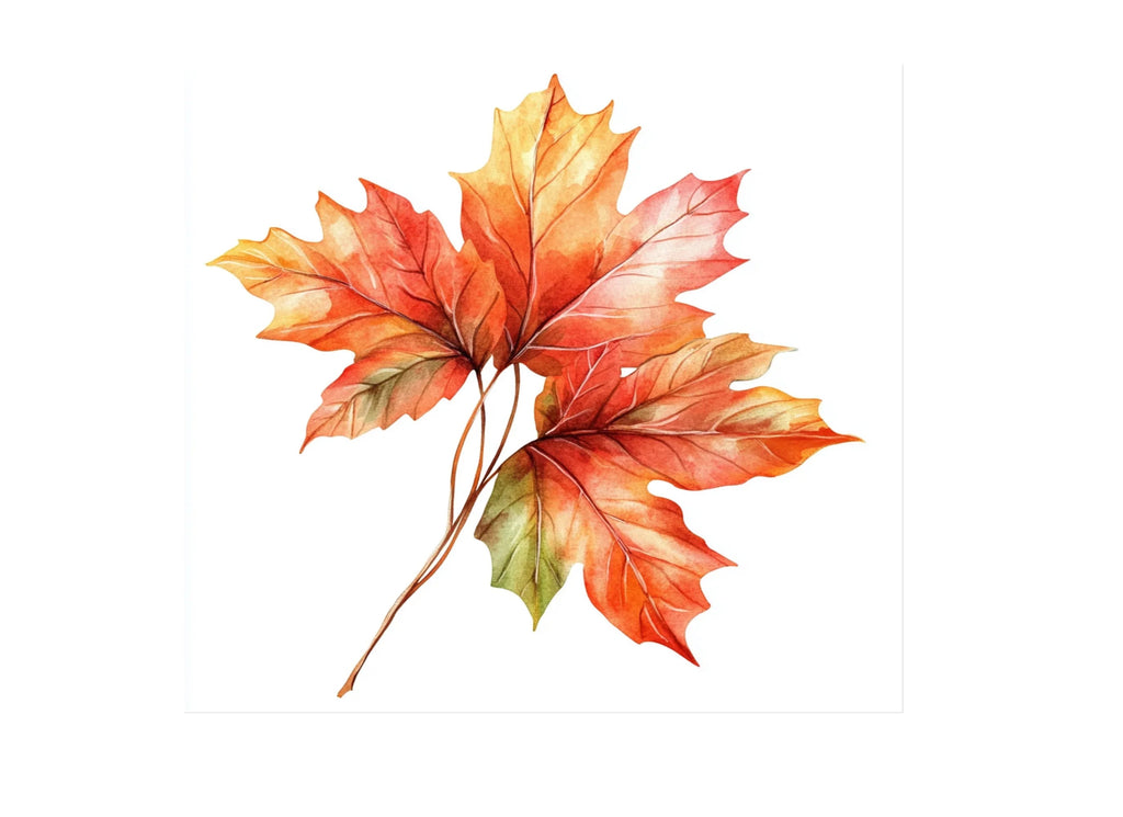 Autumn Leaves Clipart Bundle