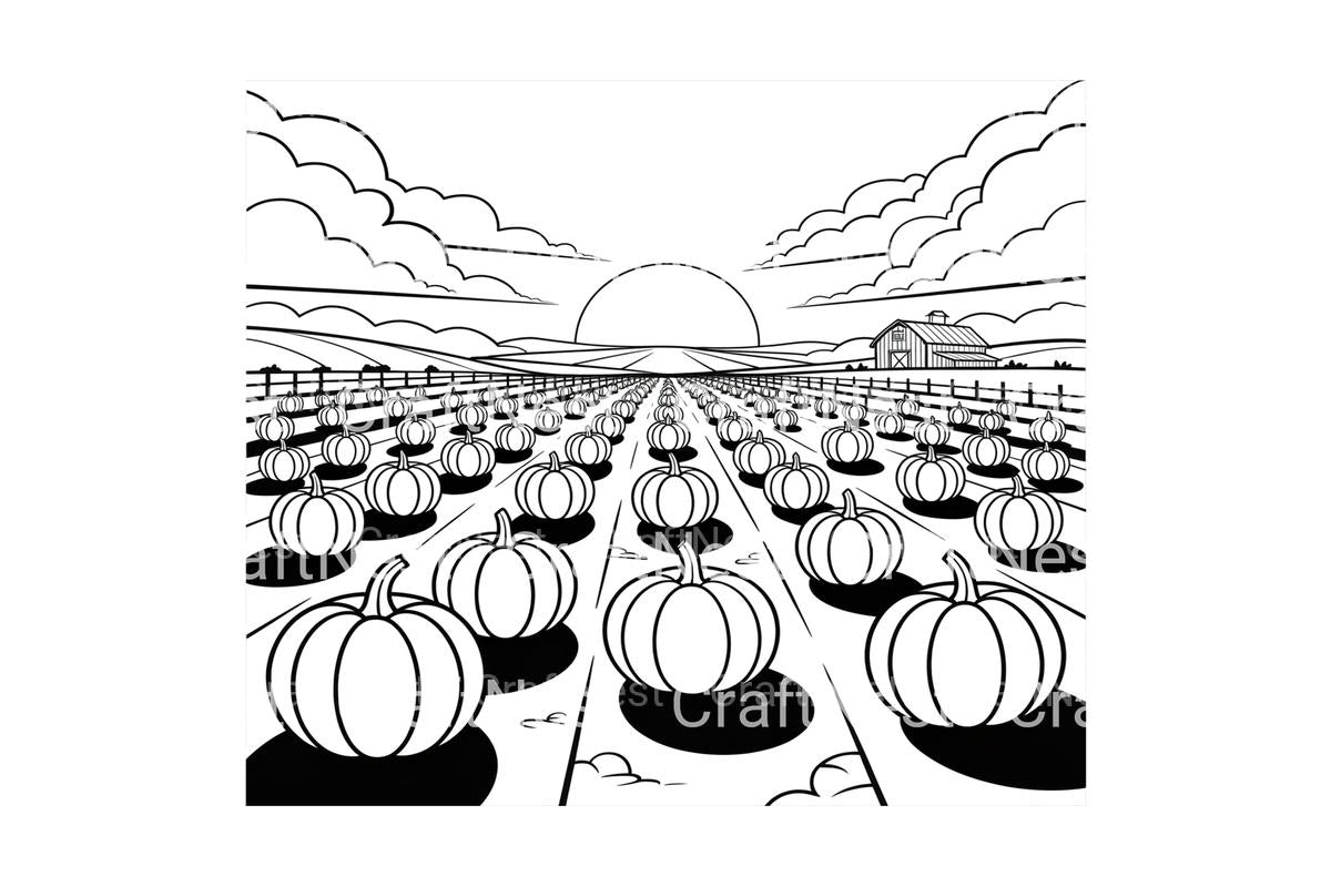 Sunrise Over Pumpkin Field Coloring Books