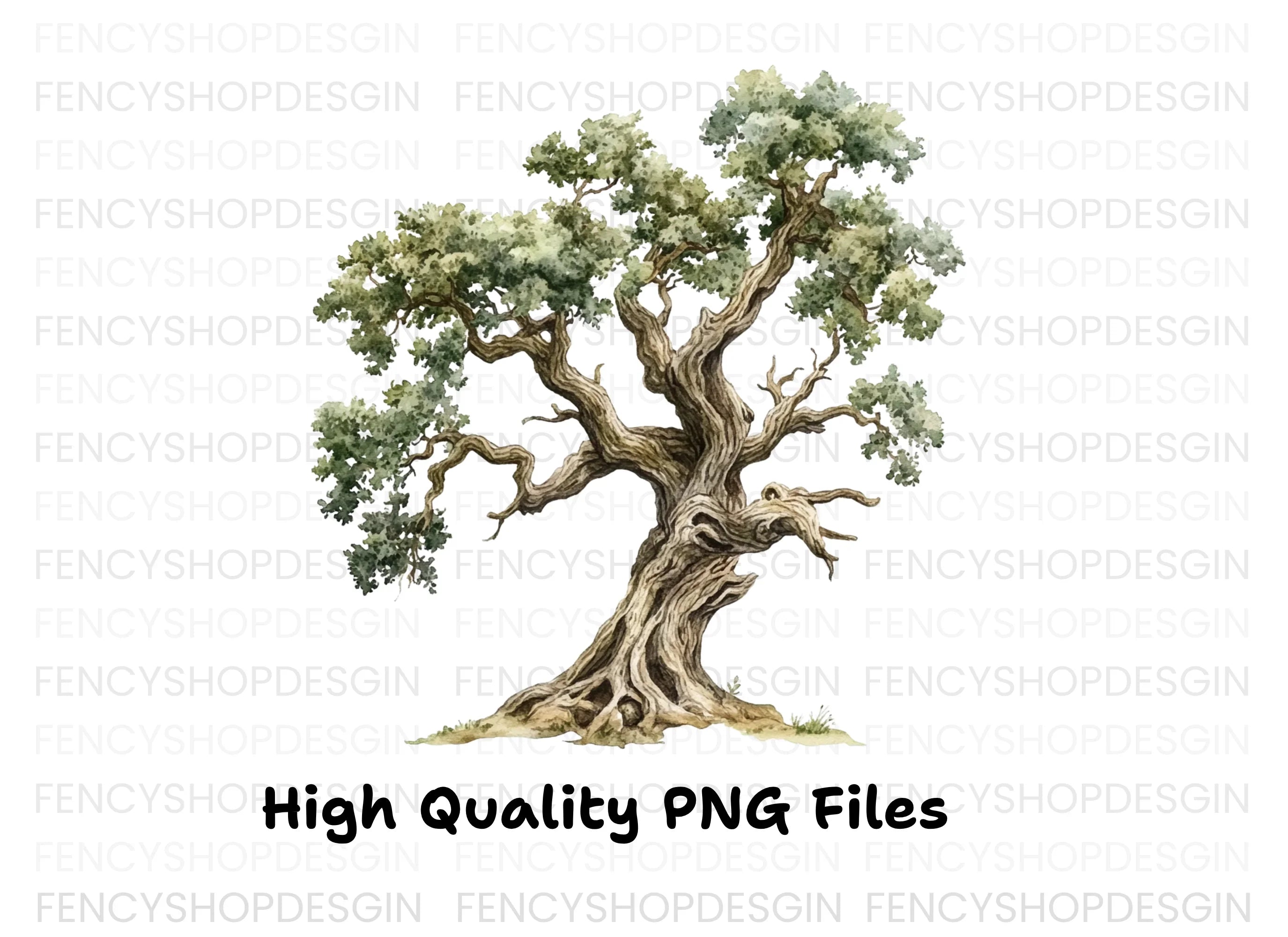 Ancient Oak Tree Clipart Bundle