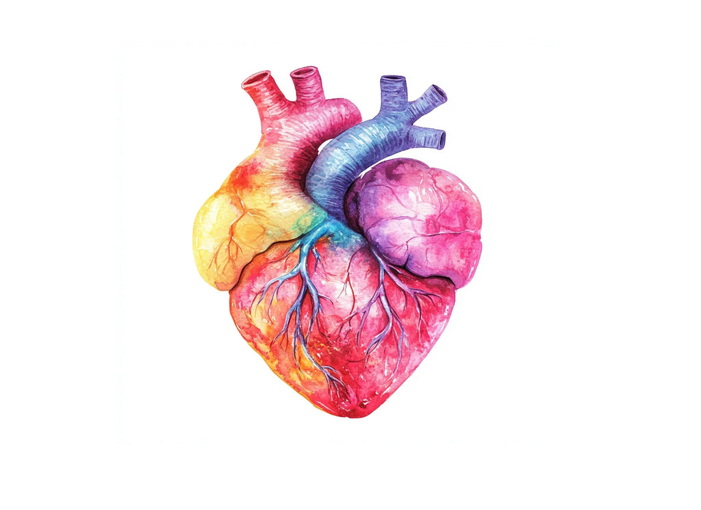 Vibrant Human Heart Clipart Bundle
