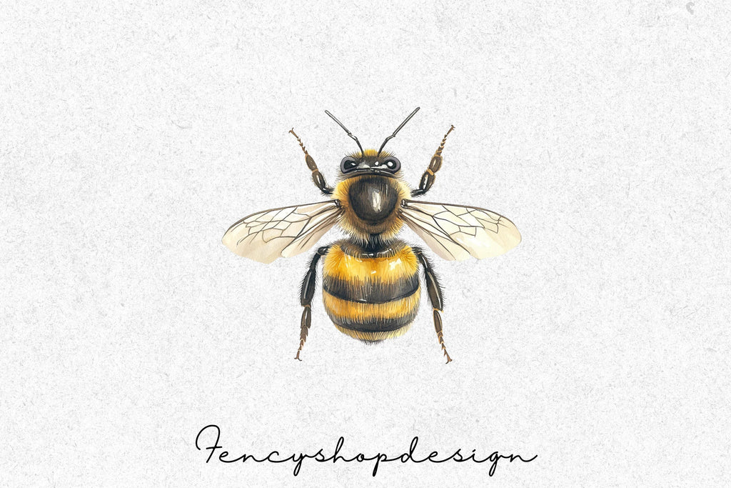 Realistic Bumblebee Clipart Bundle
