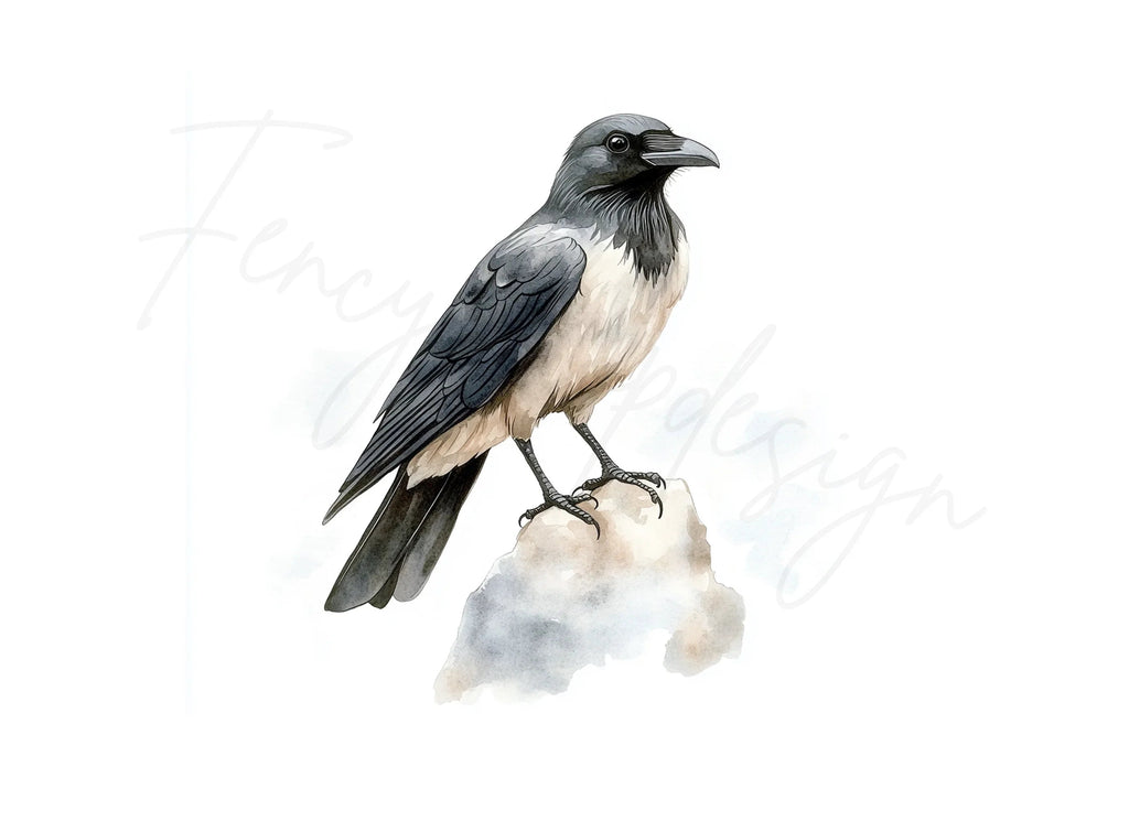 Crow and Magpie Clipart Bundle