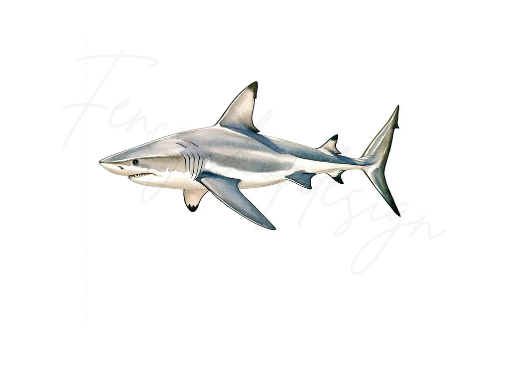 Great White Shark Clipart Bundle