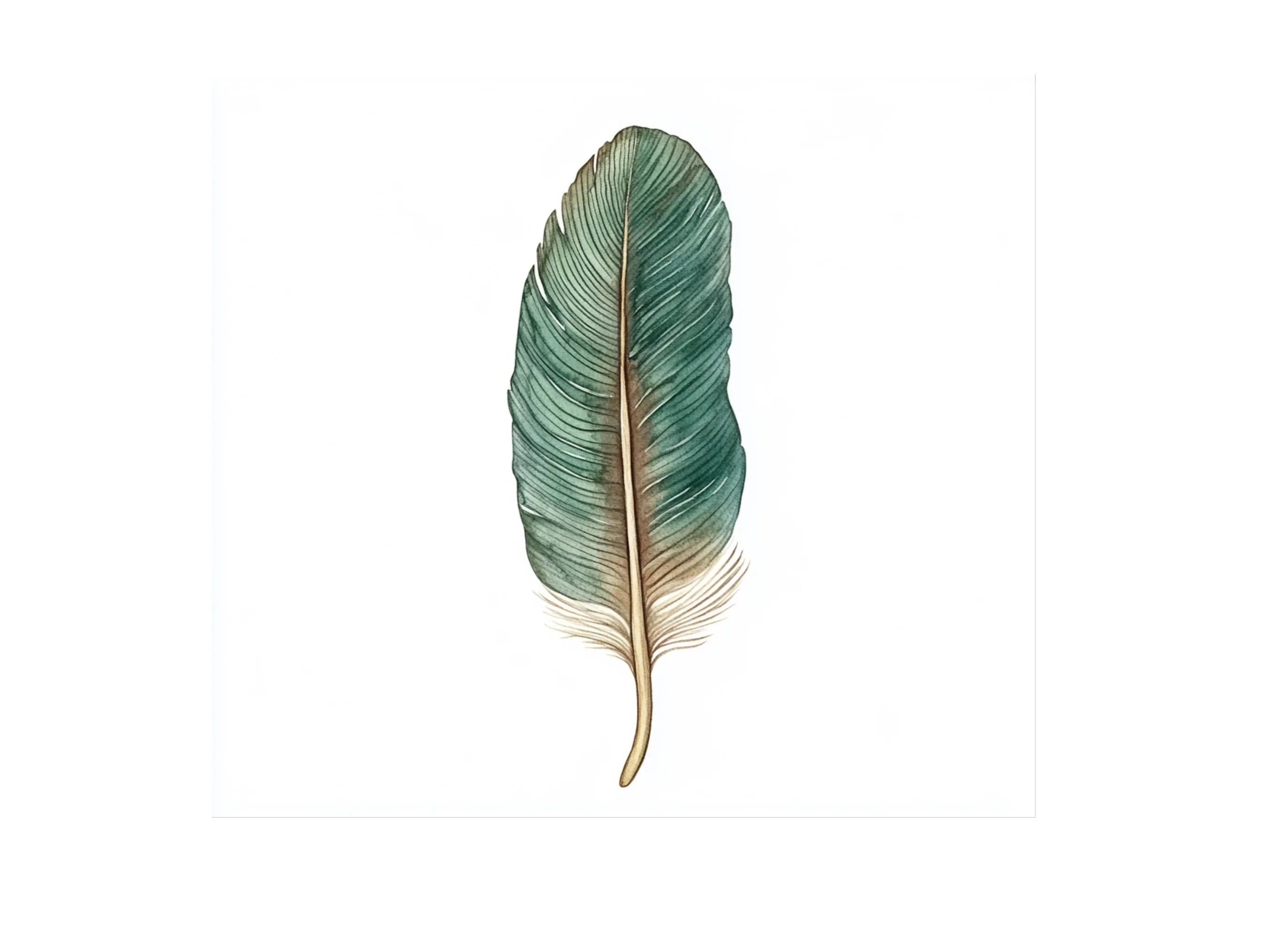 Colorful Feather Clipart Bundle