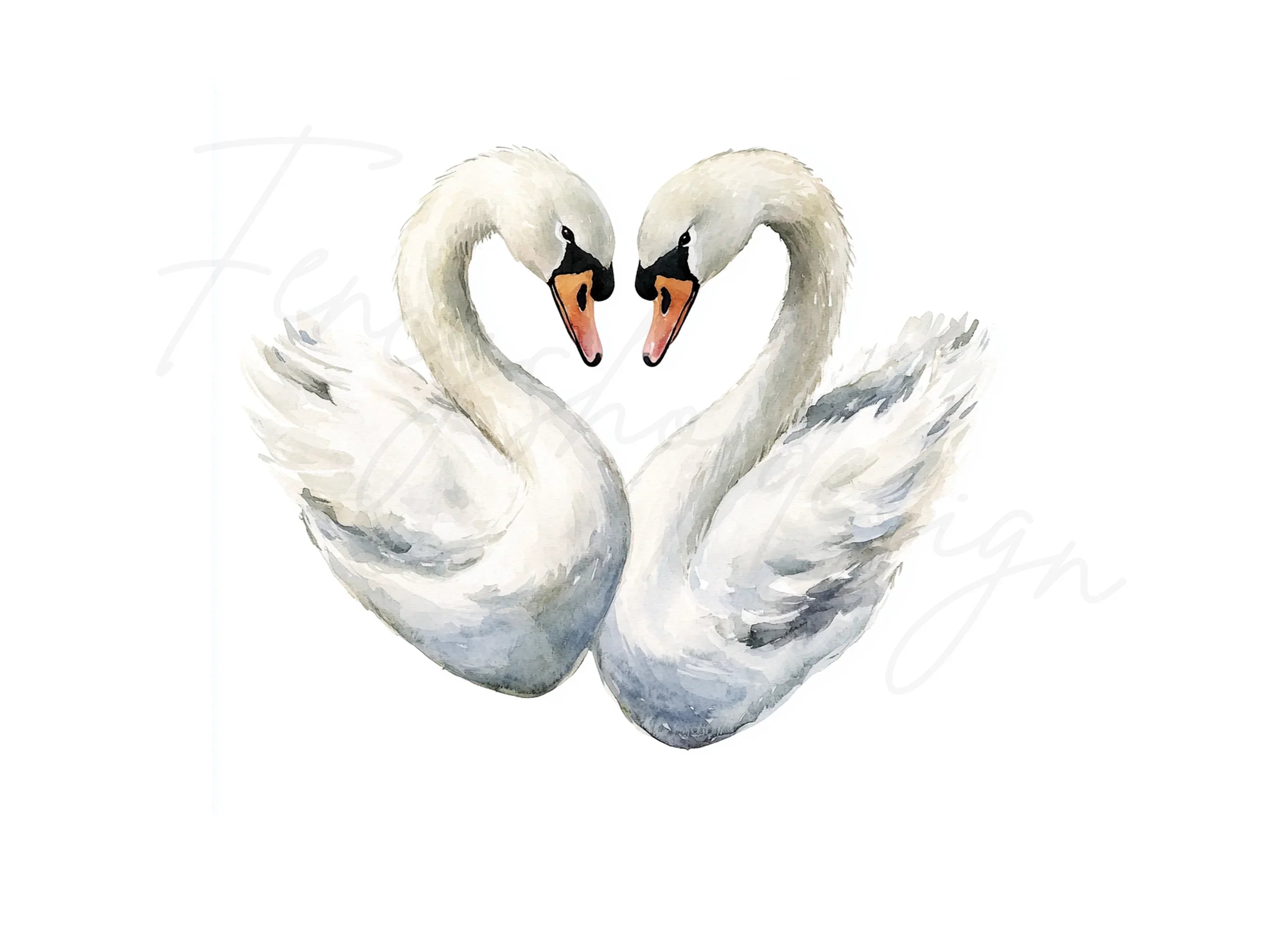 Swans Heart Clipart Bundle