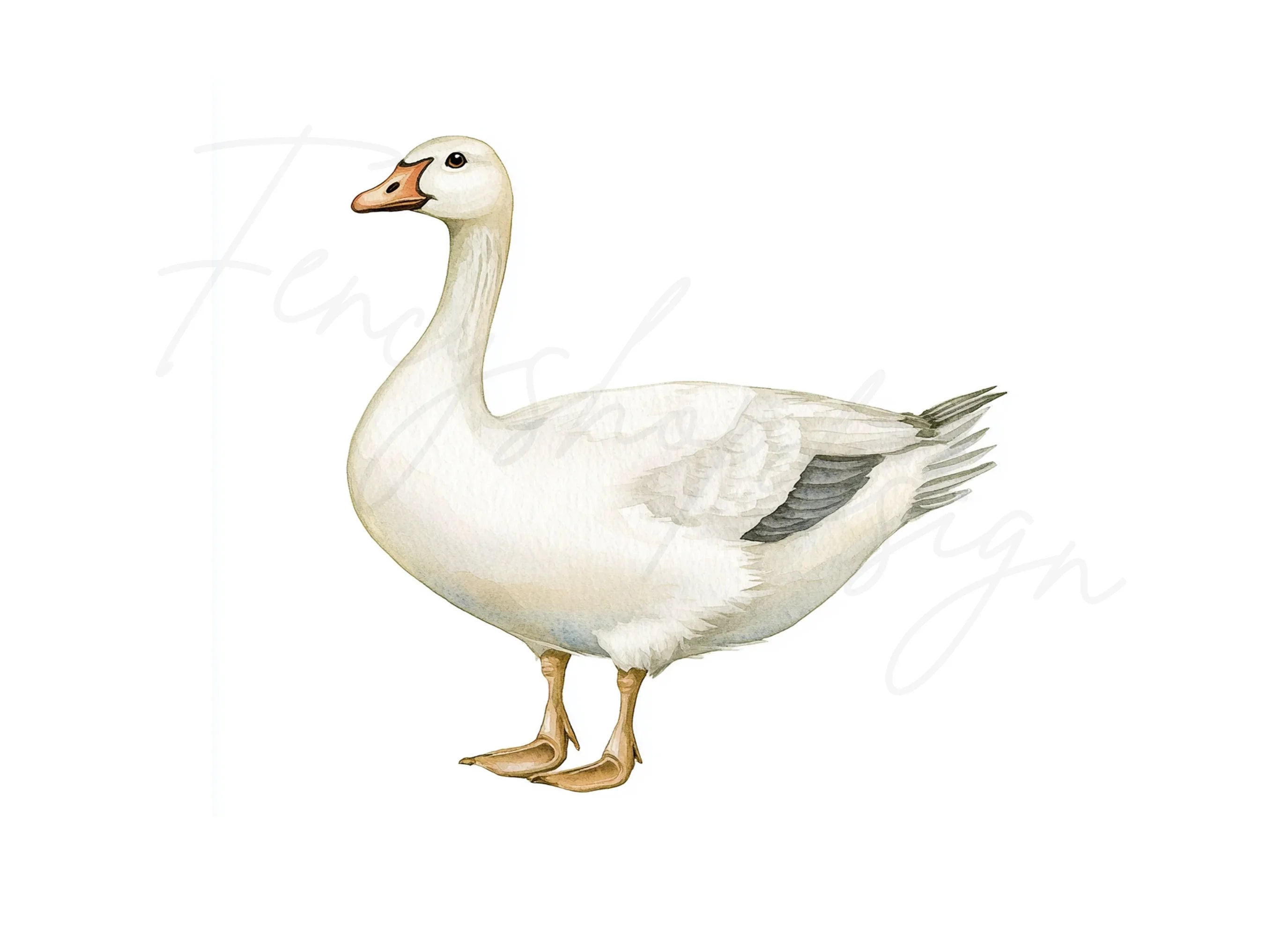 White Geese Clipart Bundle