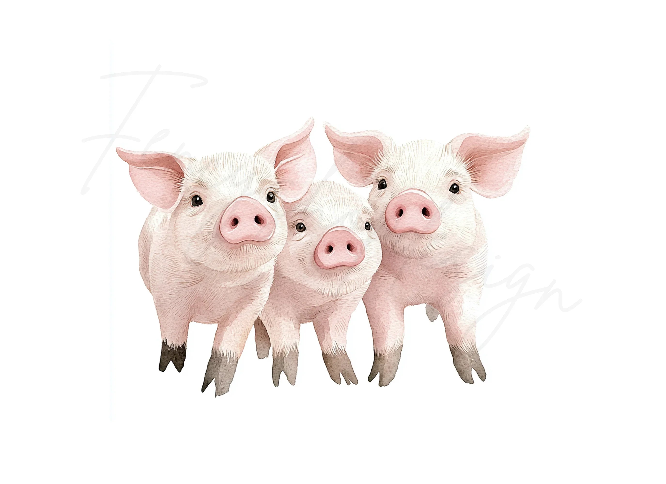 Cute Piglets Clipart Bundle