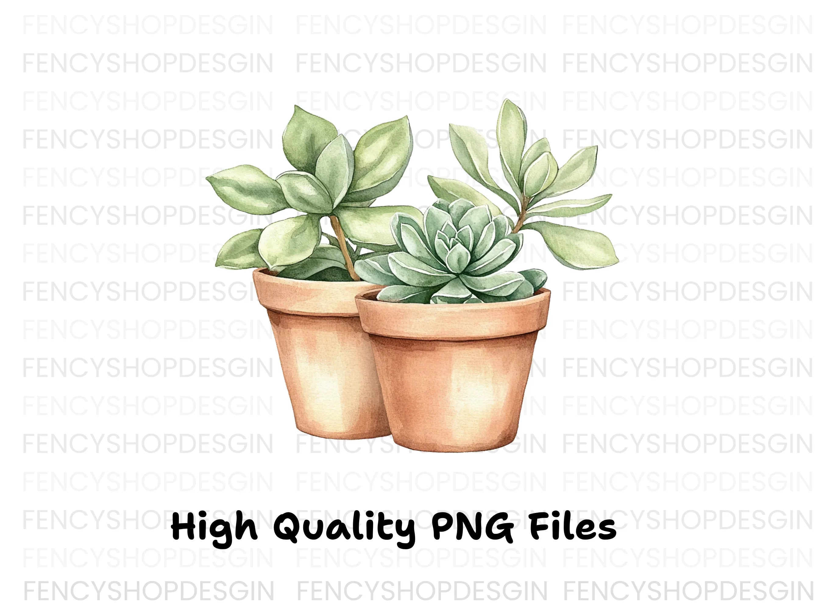 Succulent Plants Clipart Bundle