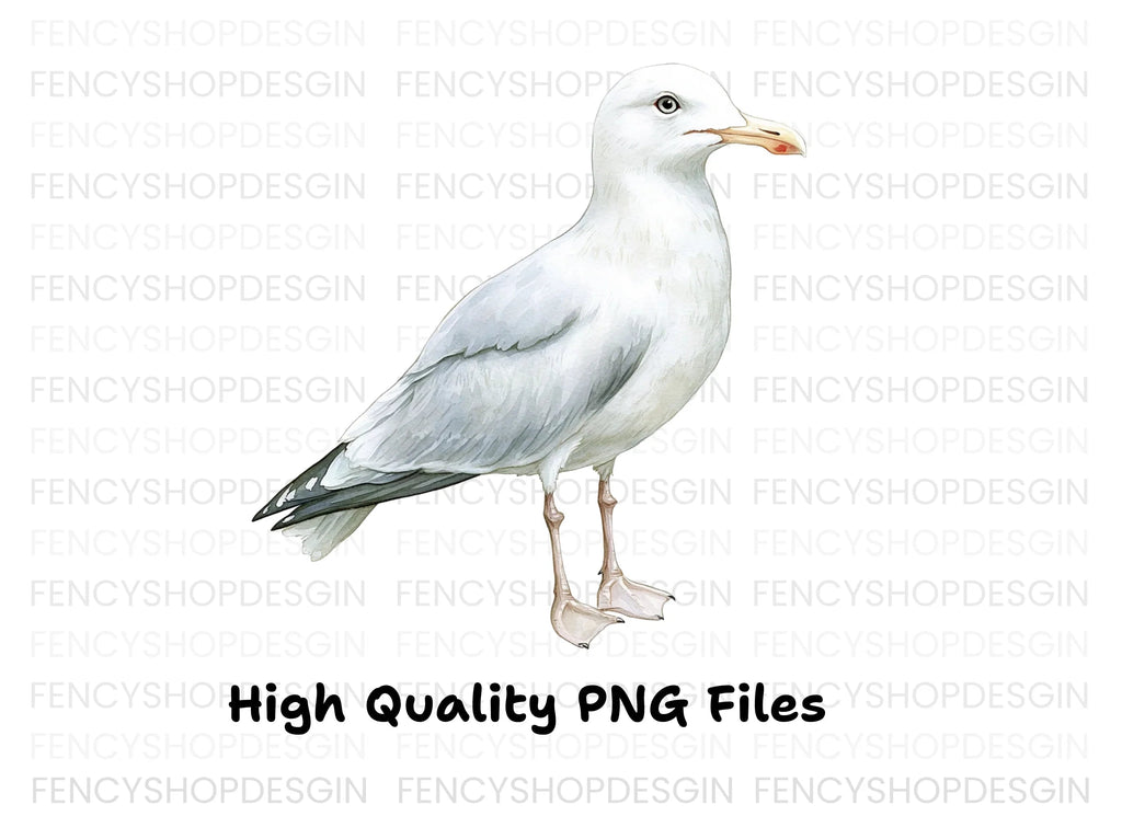 Graceful Seagull Clipart Bundle