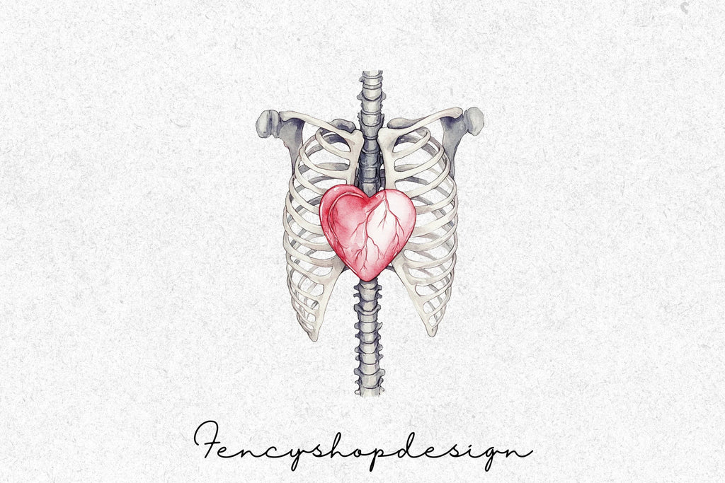 Anatomical Human Heart Clipart Bundle